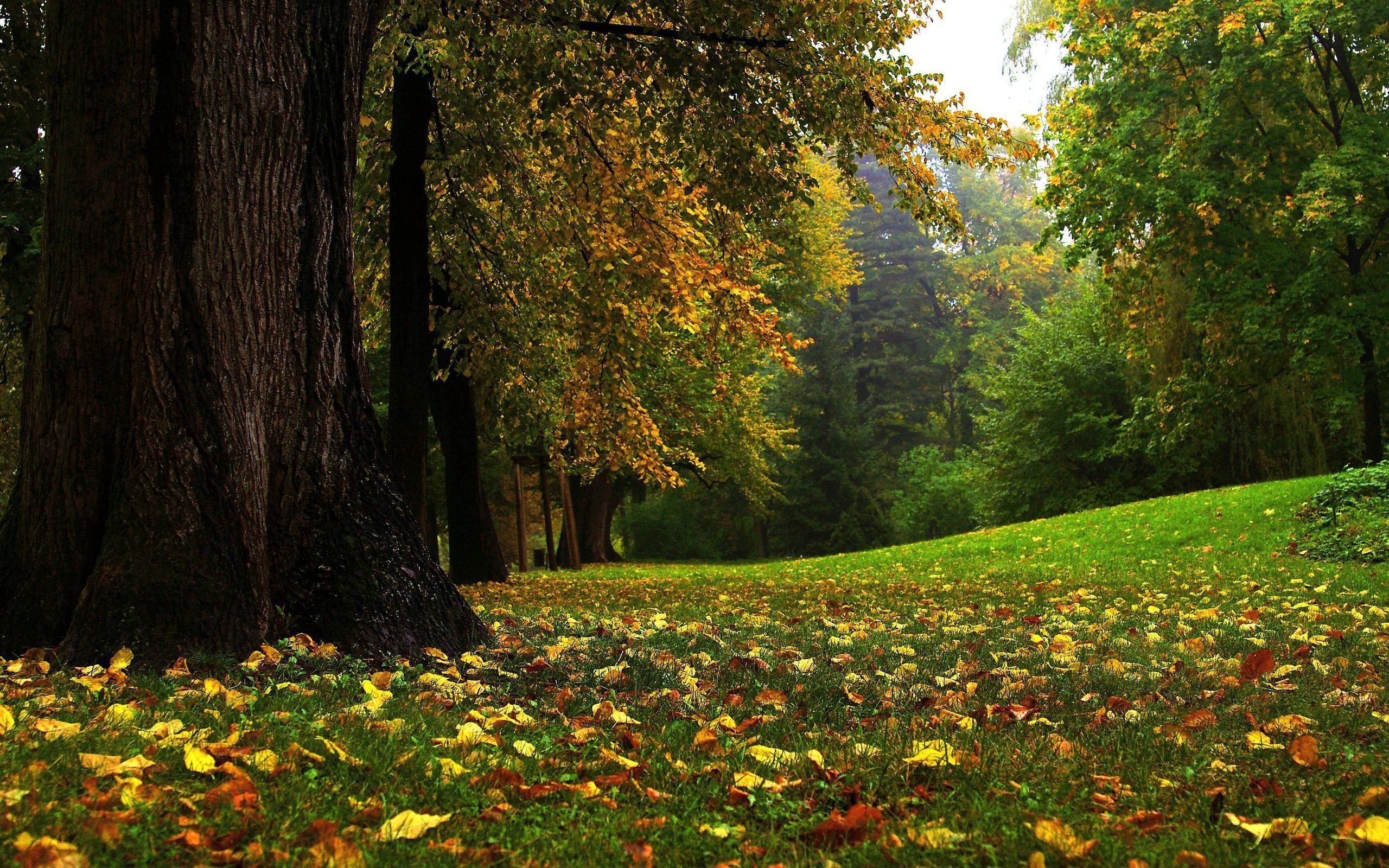 2560x1600 Somewhere