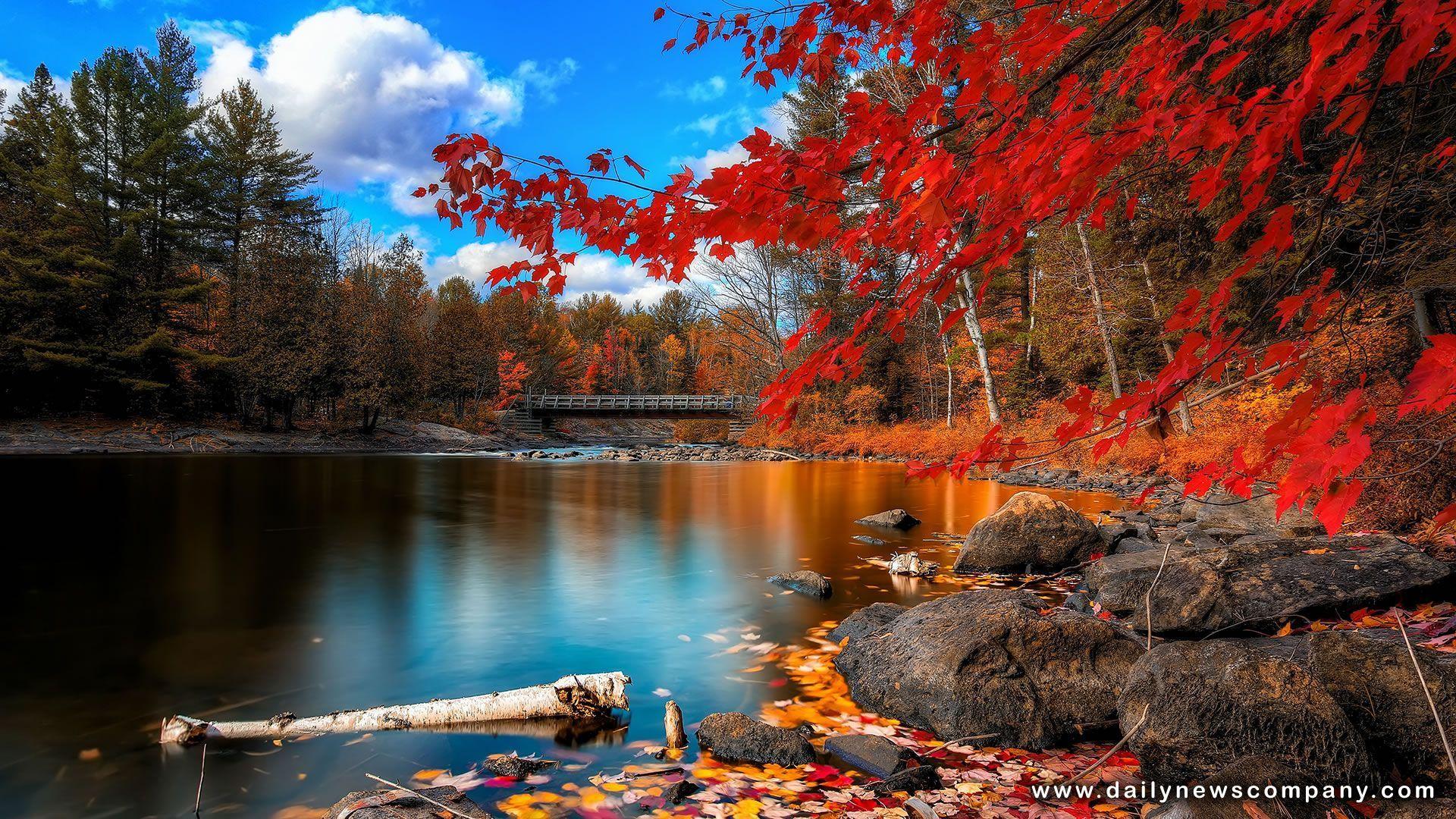 1920x1080 Latest Wallpaper, Picture Of Nature
