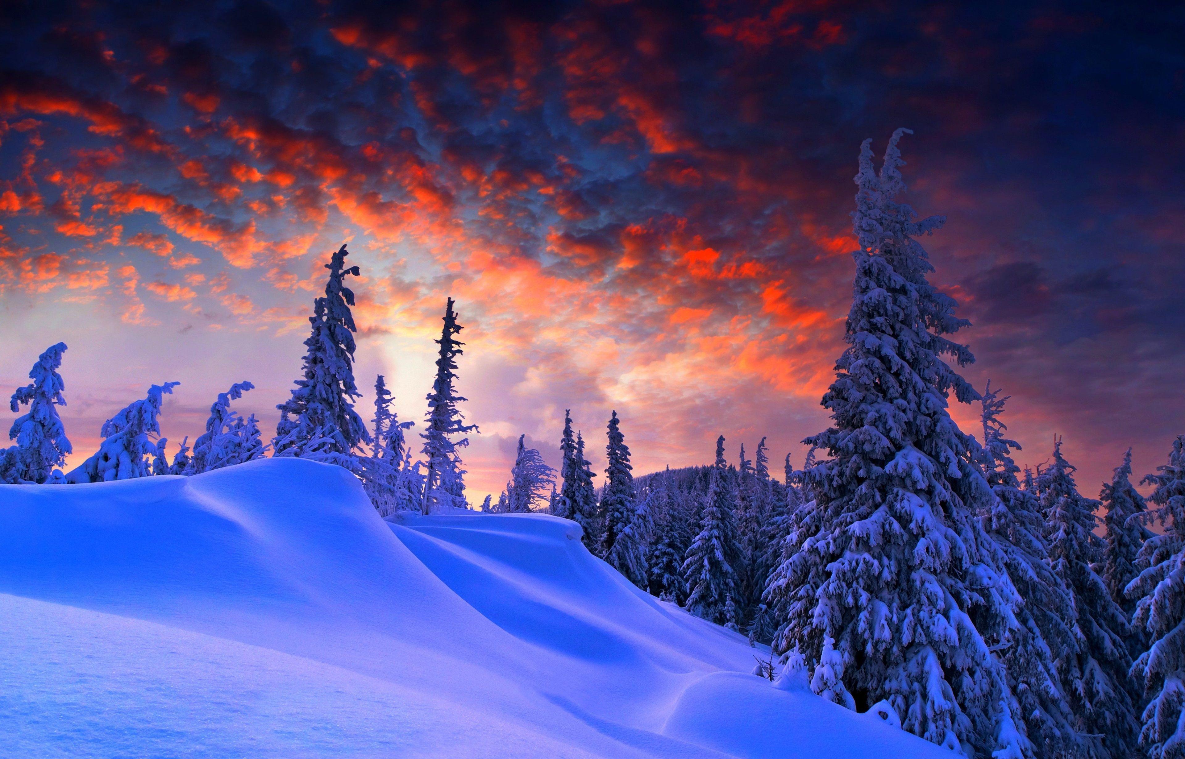 3840x2460 winter 4k desktop wallpaper HD. Winter wallpaper, Winter desktop background, Digital wallpaper