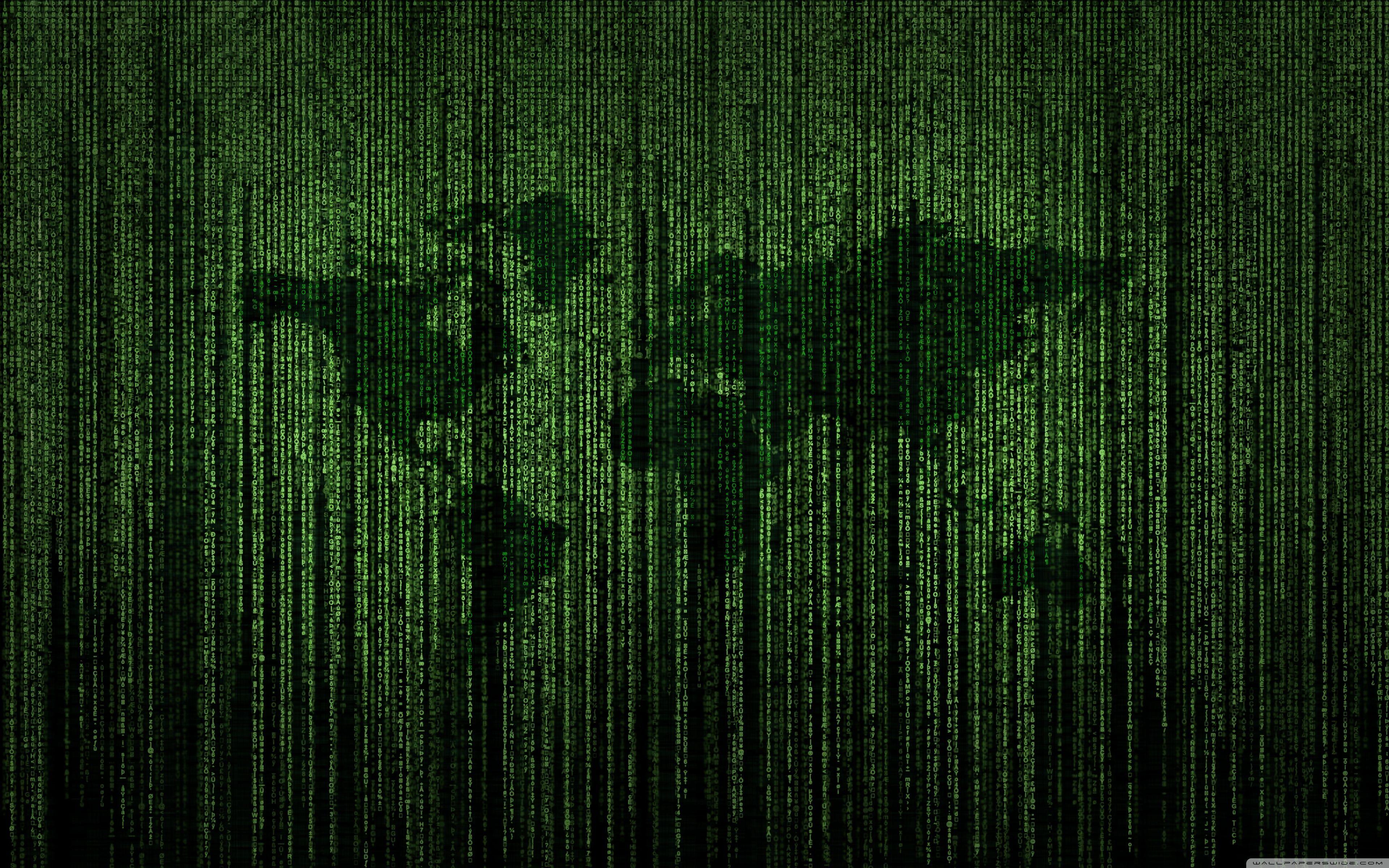 3840x2400 Matrix Wallpaperwallpaper.dog
