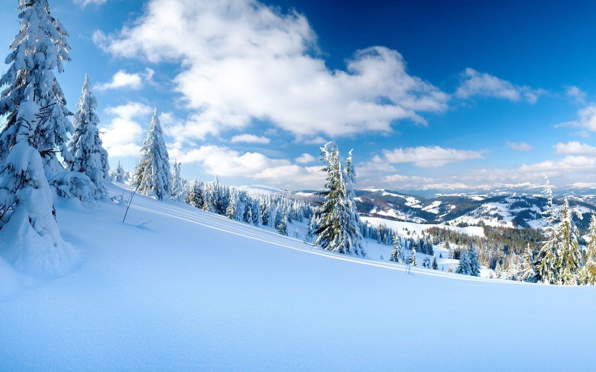 1920x1200 Landscapes trees winter Wallpaper winter clouds nature snow