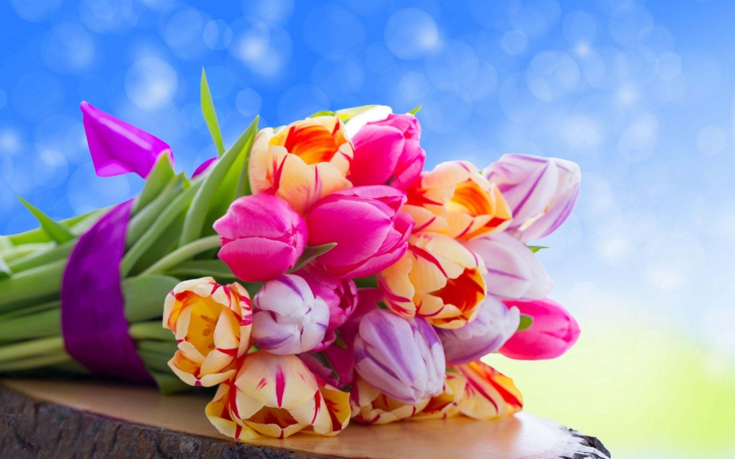 2560x1600 Pretty Colorful Wallpaper