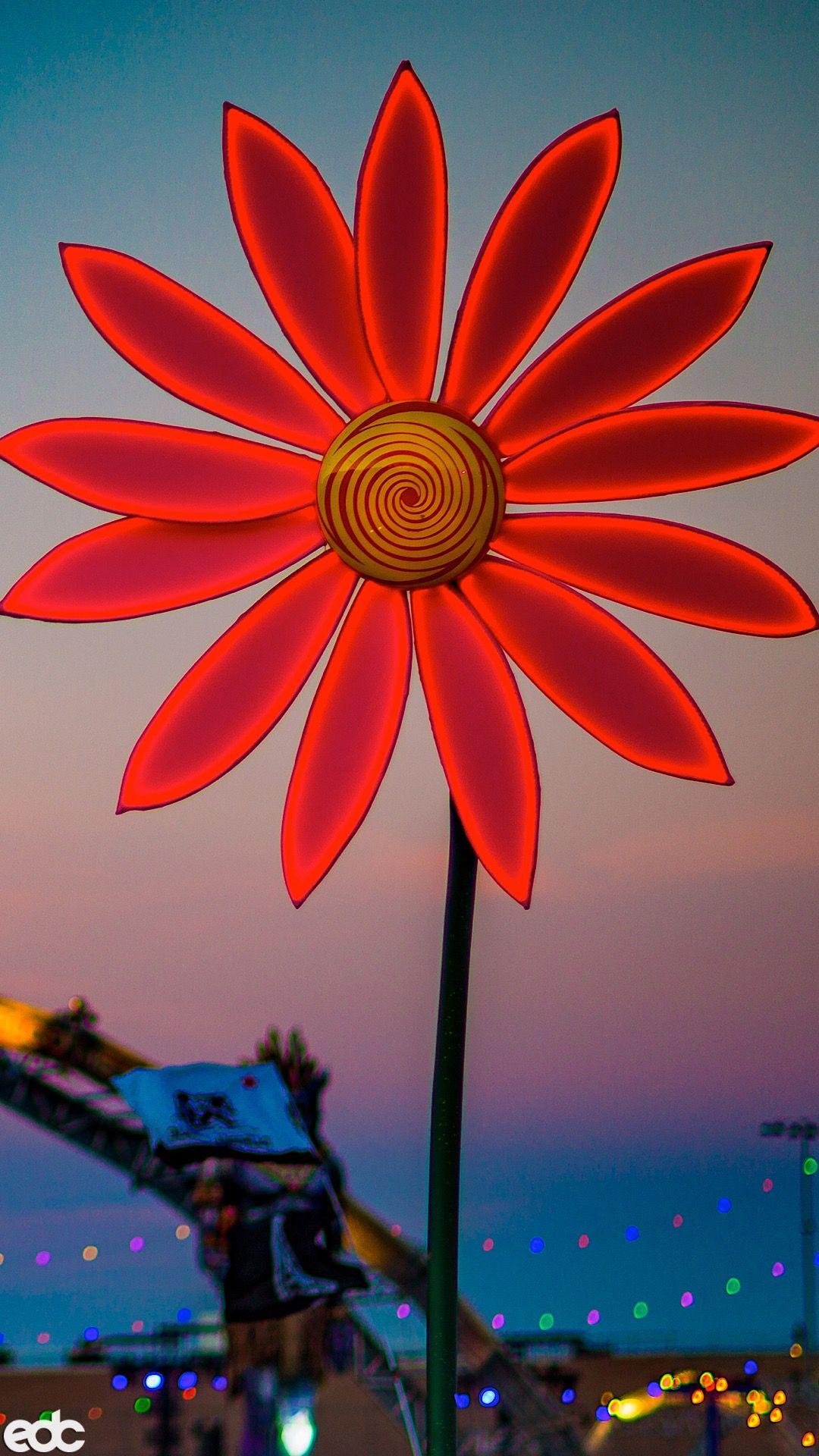 1080x1920 Download These Epic EDC Las Vegas Wallpaper for Your Phone