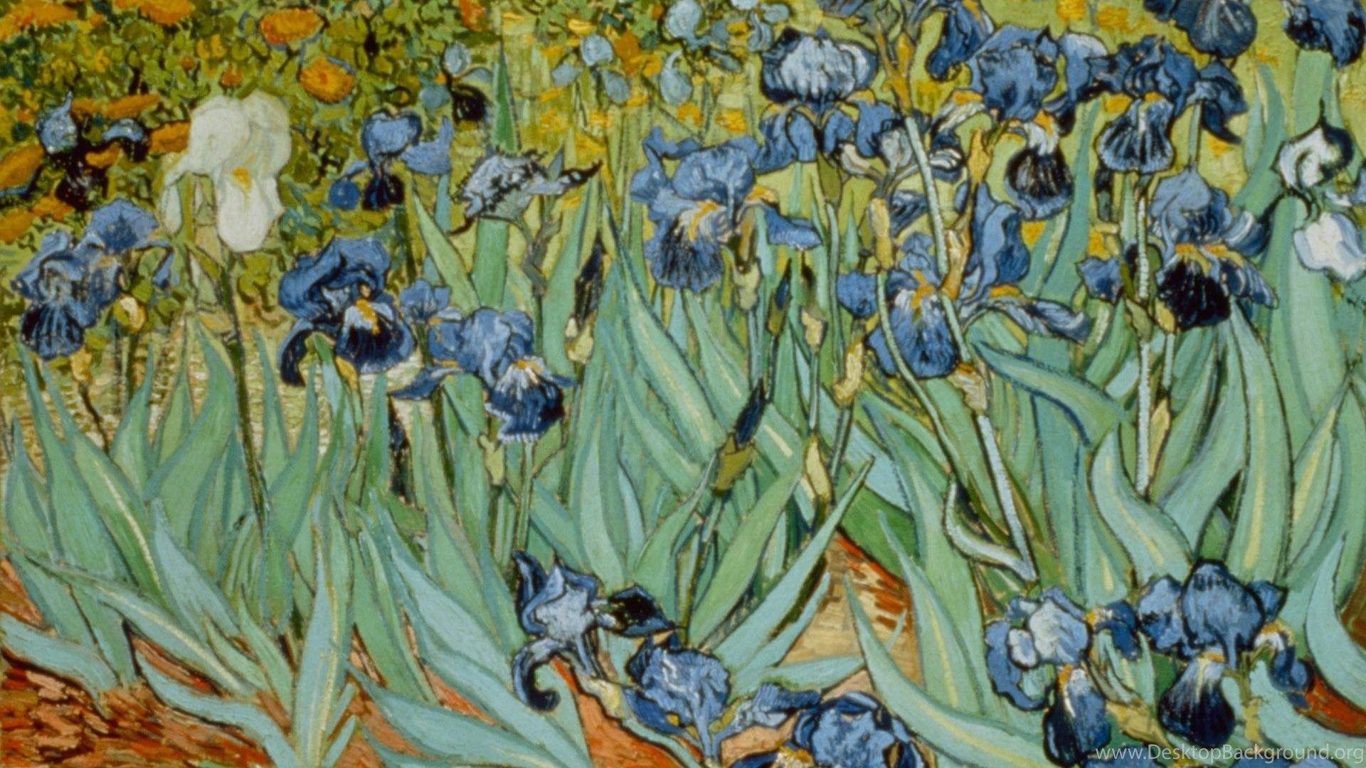 1920x1080 Fine Art HD Wallpaper Desktop Background