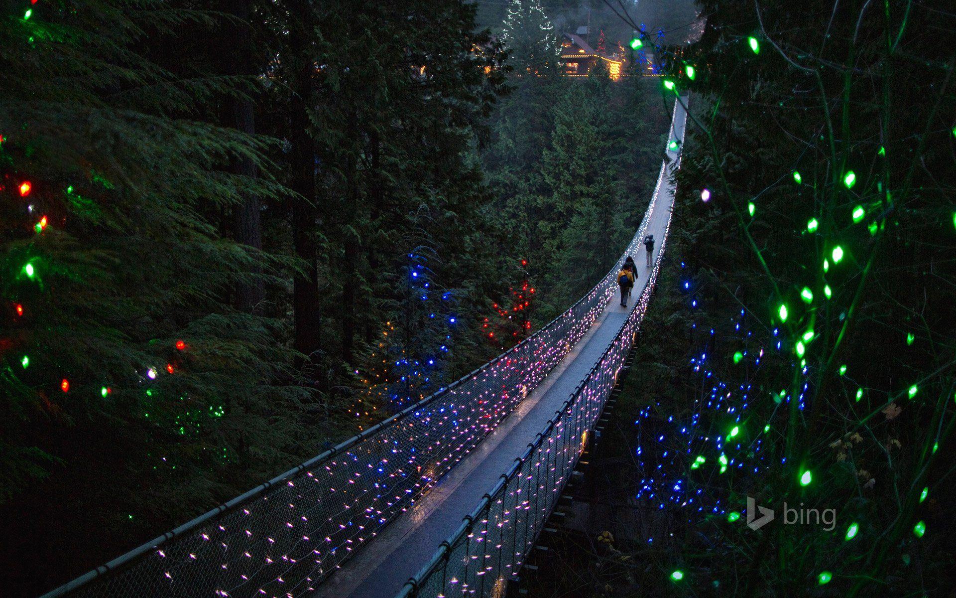 1920x1200 vancouver, British, Columbia, Canada, Capilano, British, Columbia, Canada, The, Suspension, Bridge, Bridge, Trees, Forest, Nature, Holiday, Lights, People, Landscape Wallpaper HD / Desktop and Mobile Background