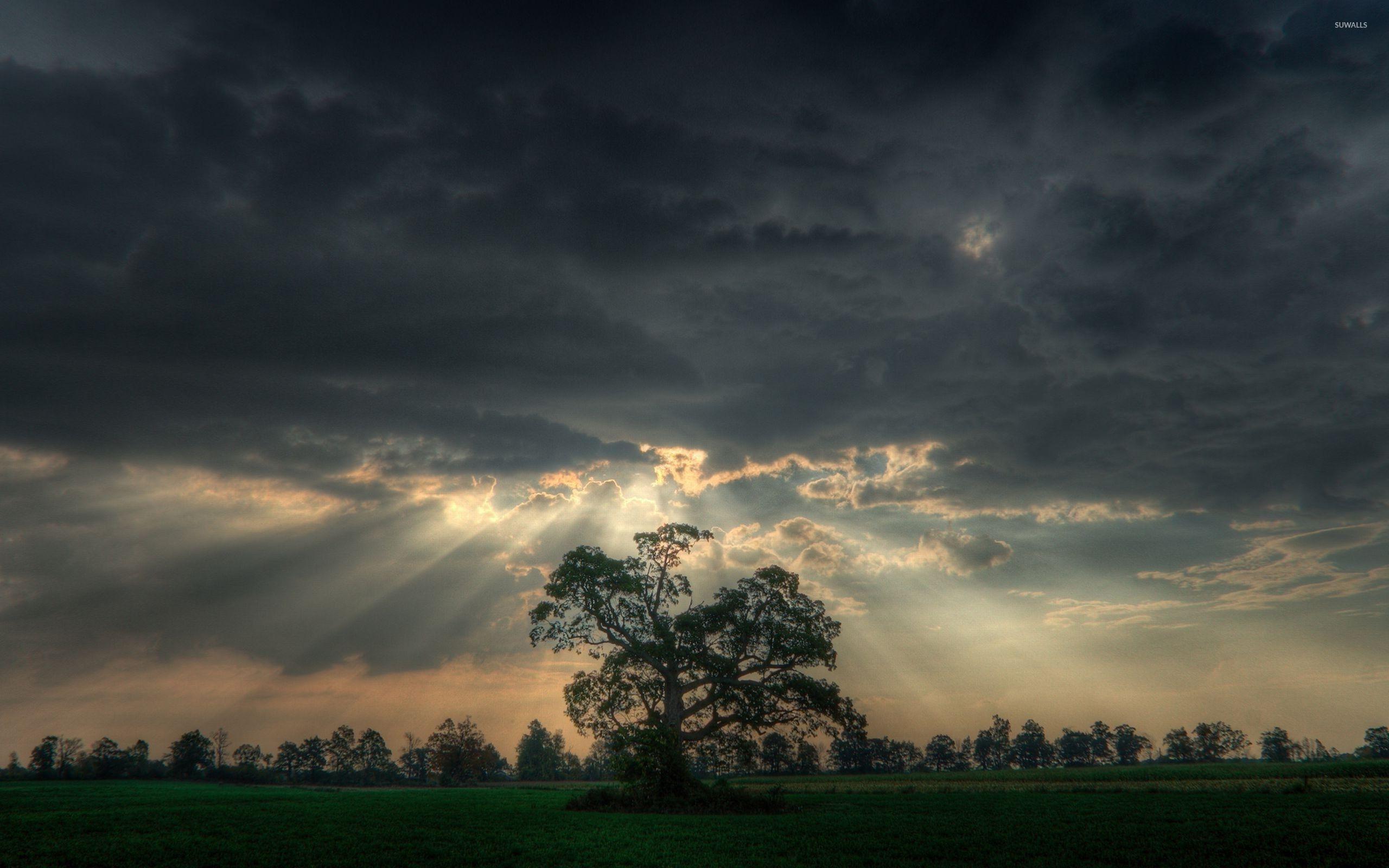 2560x1600 Rain of sunshine through dark heavy clouds wallpaper wallpaper