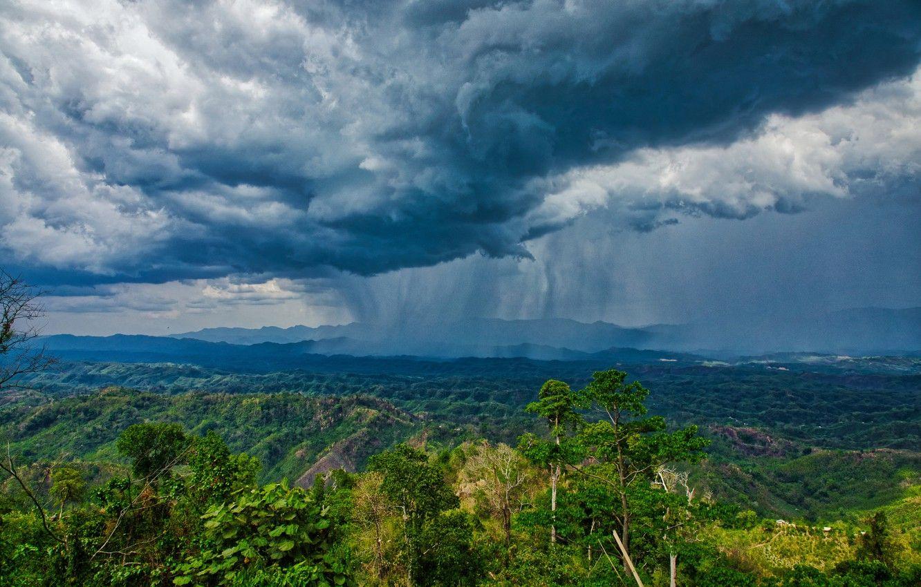 1332x850 Wallpaper forest, clouds, clouds, rain, forest, rain, clouds image for desktop, section пейзажи