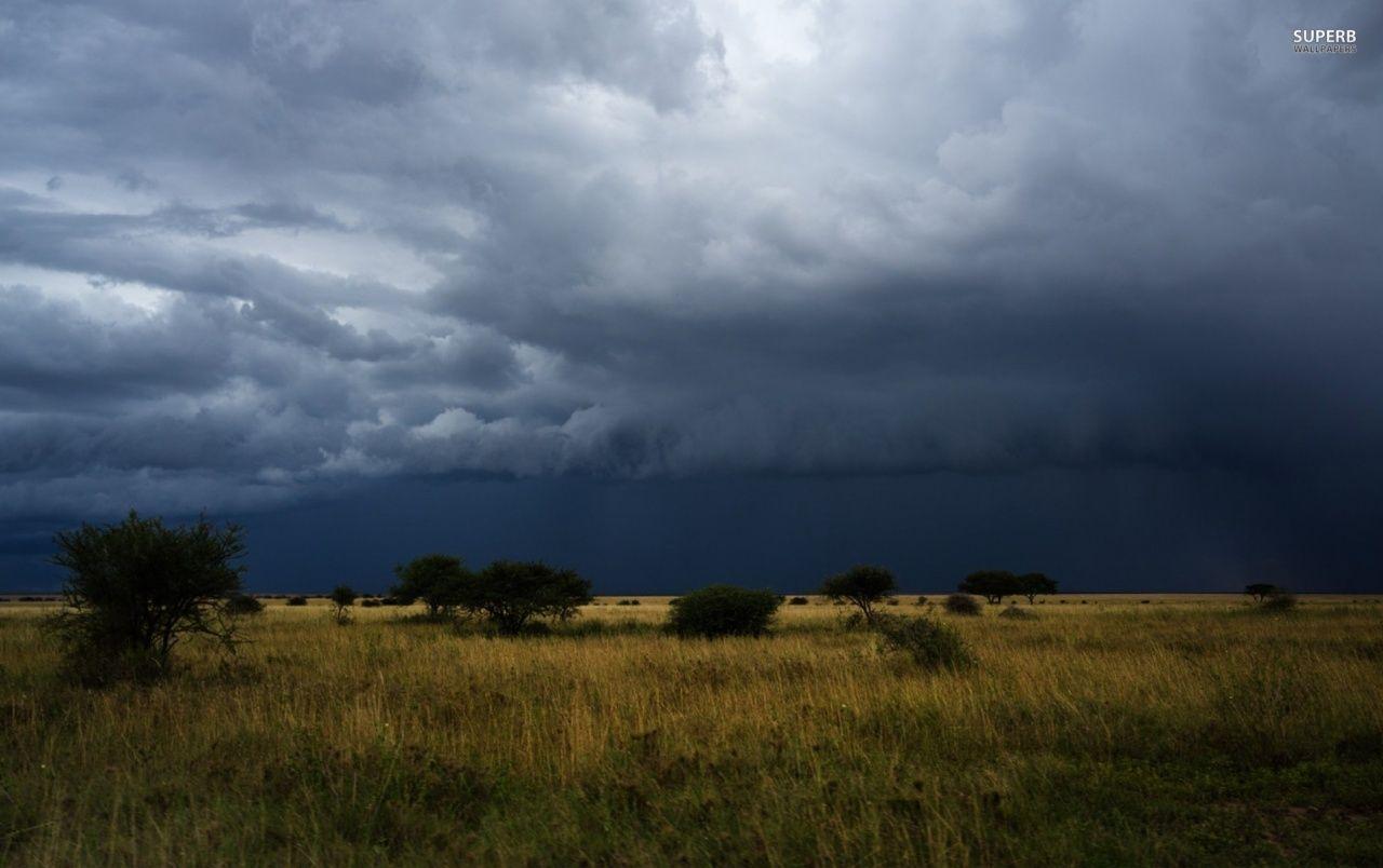 1280x804 Dark Storm Clouds Trees Field wallpaper. Dark Storm Clouds Trees Field