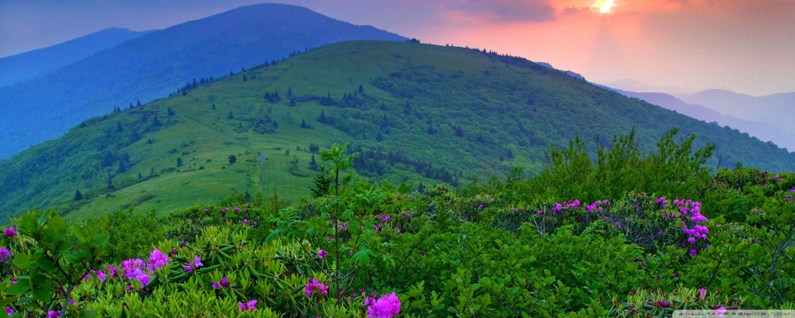 2560x1024 Green Mountains ❤ 4K HD Desktop Wallpaper for 4K Ultra HD TV • Dual