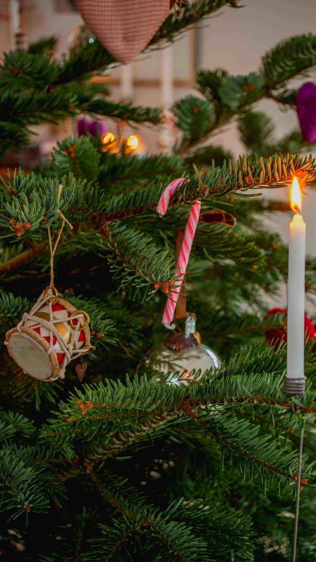 1080x1920 Best Christmas iPhone Wallpaper Background for Zoom, Widgetsmith