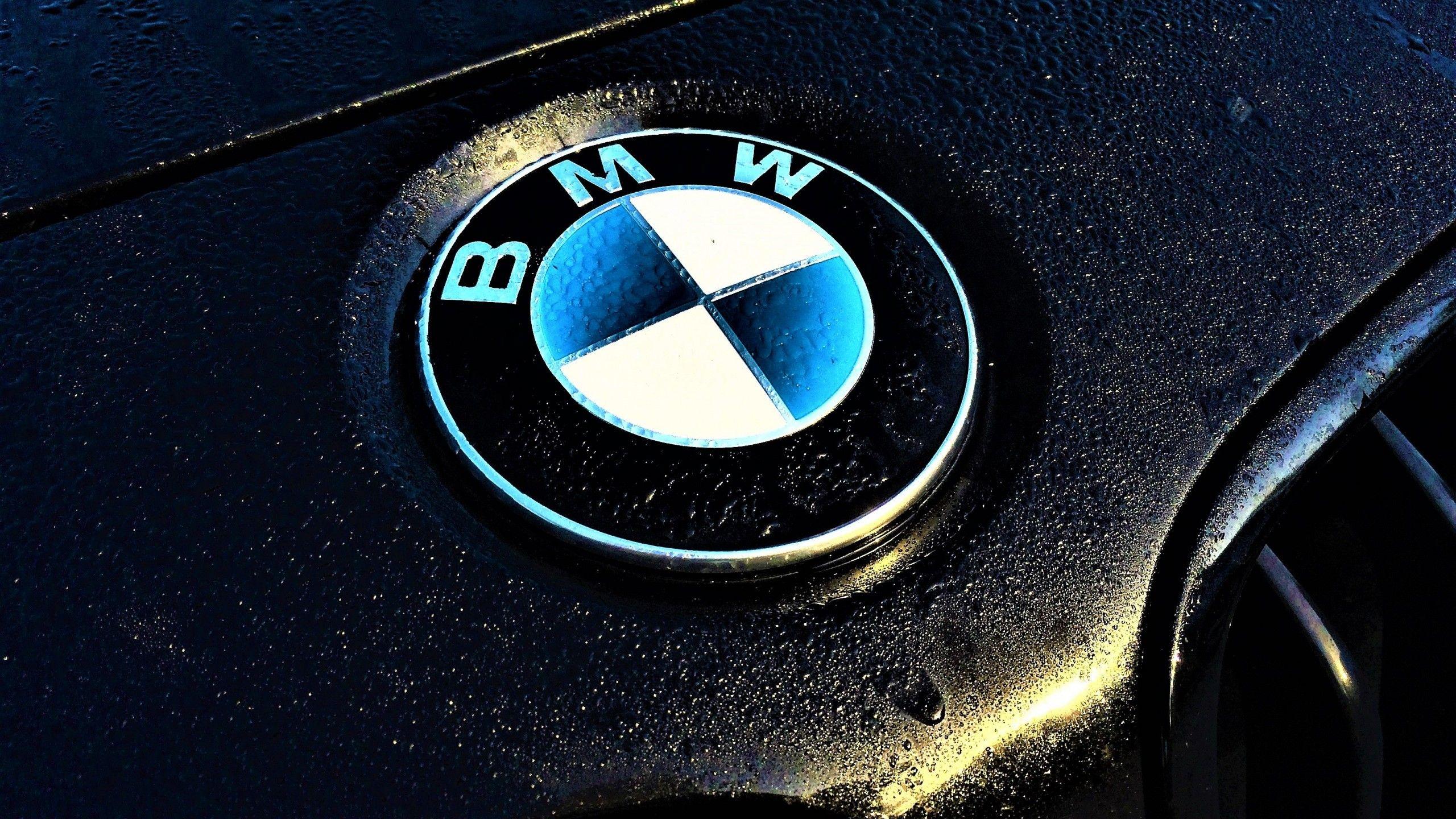 2560x1440 BMW Logo Wallpaper 3264x2448 70102