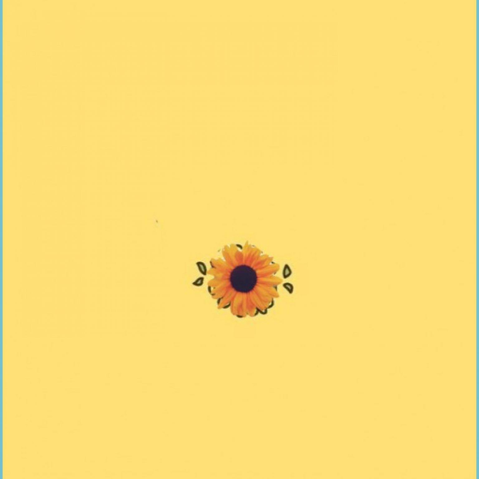 1536x1536 Aesthetic Yellow Wallpaper Free Aesthetic Yellow wallpaper yellow