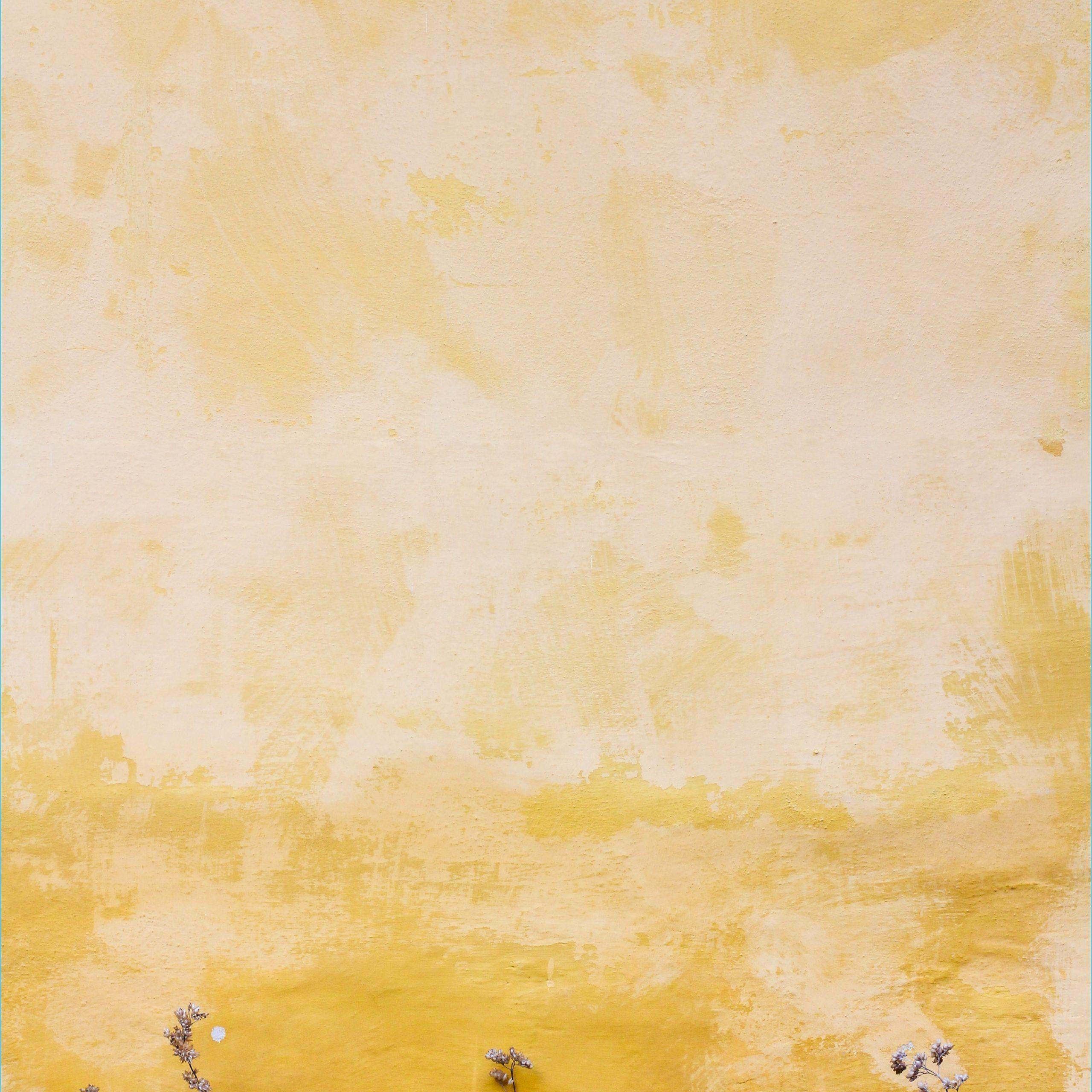2560x2560 Yellow Wallpaper: Free HD Download [HQ] yellow wallpaper