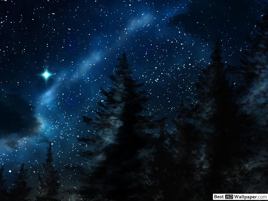 Starry Forest Wallpapers Top Free Starry Forest Backgrounds Wallpaperaccess