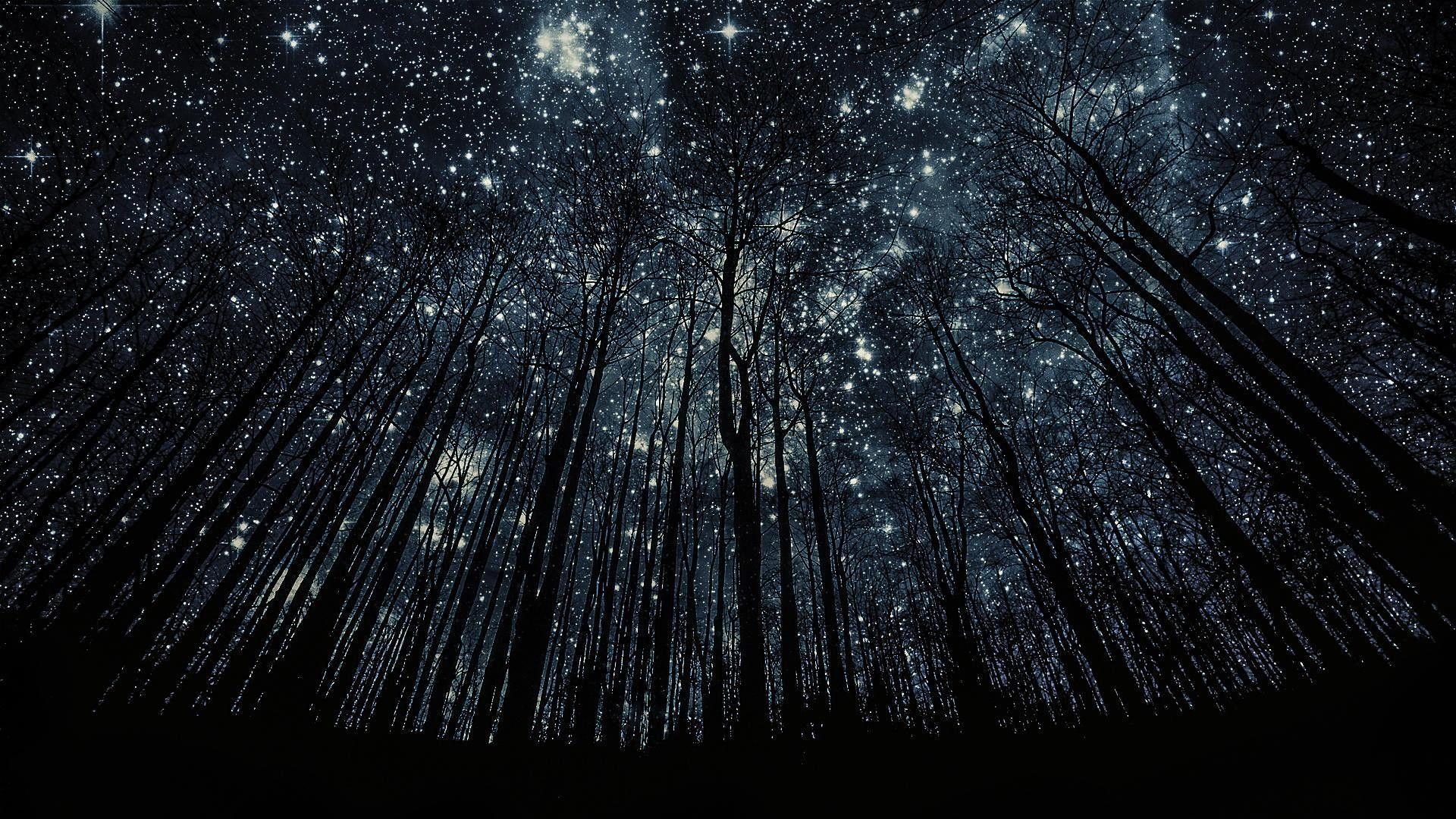 1920x1080 Starry Night Wallpaper