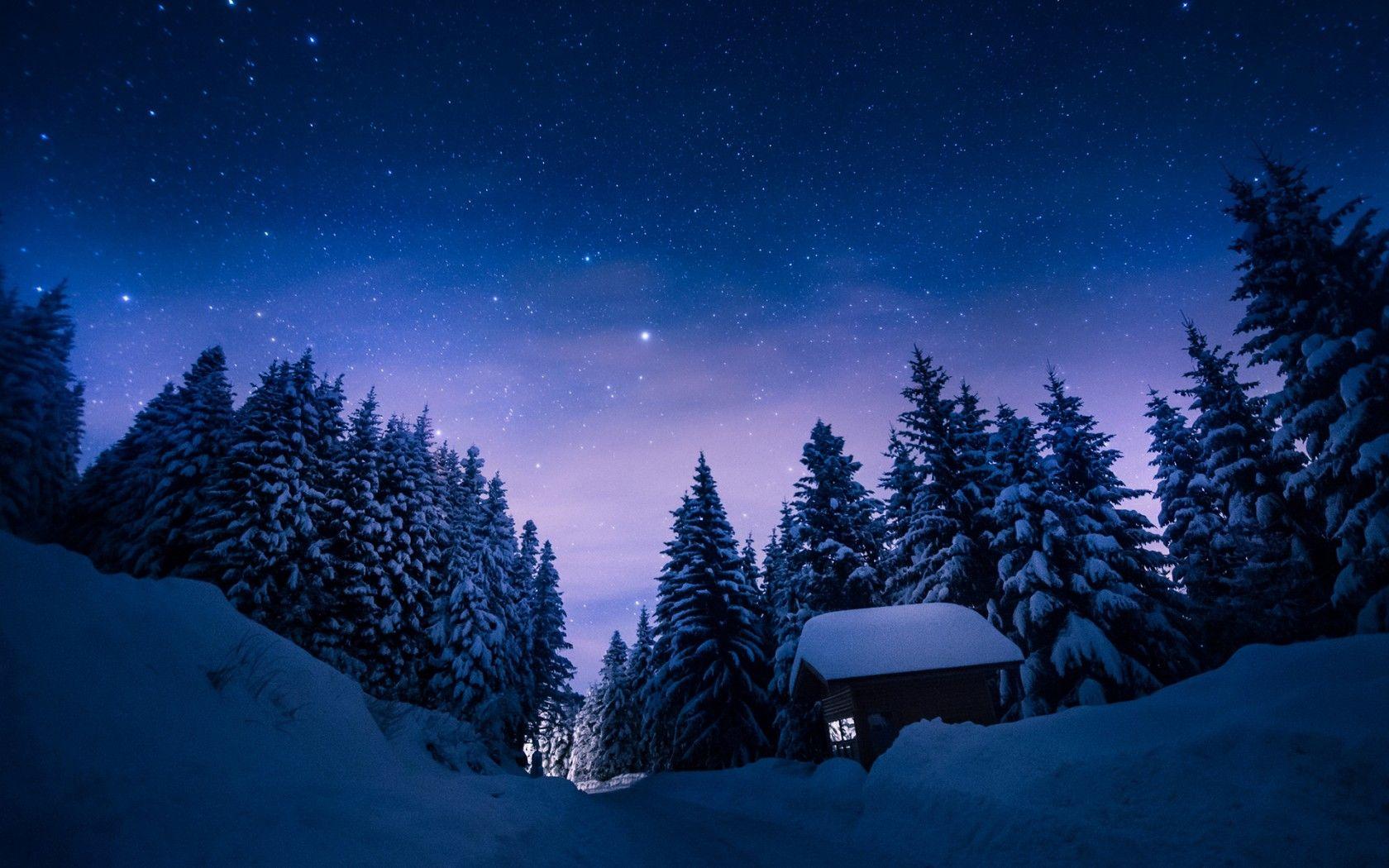 1680x1050 Nighttime Forest Wallpaper
