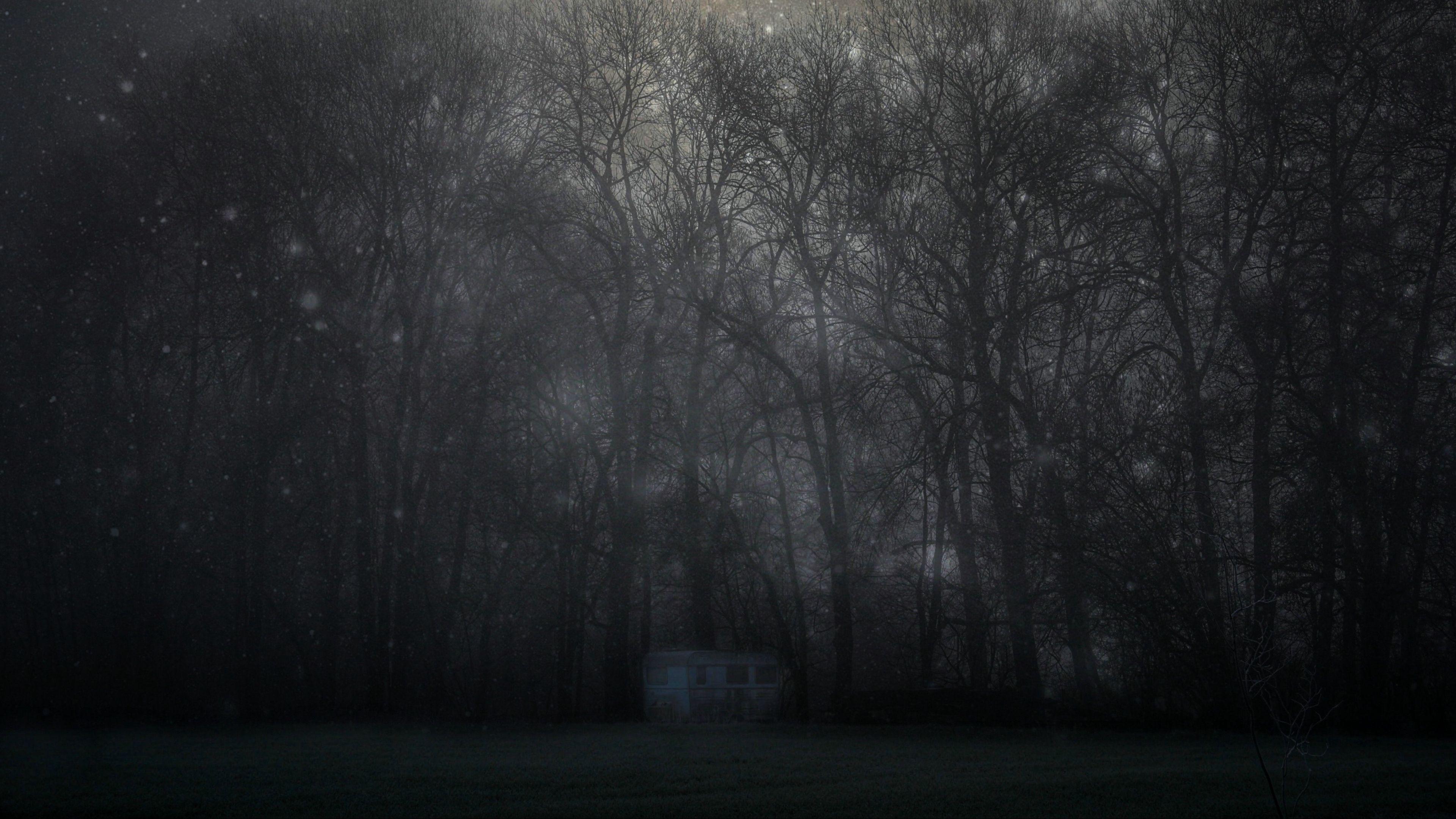 3840x2160 Wallpaper 4k forest, mystical, fog, trees, night, starry sky 4k fog, Forest, Mystical
