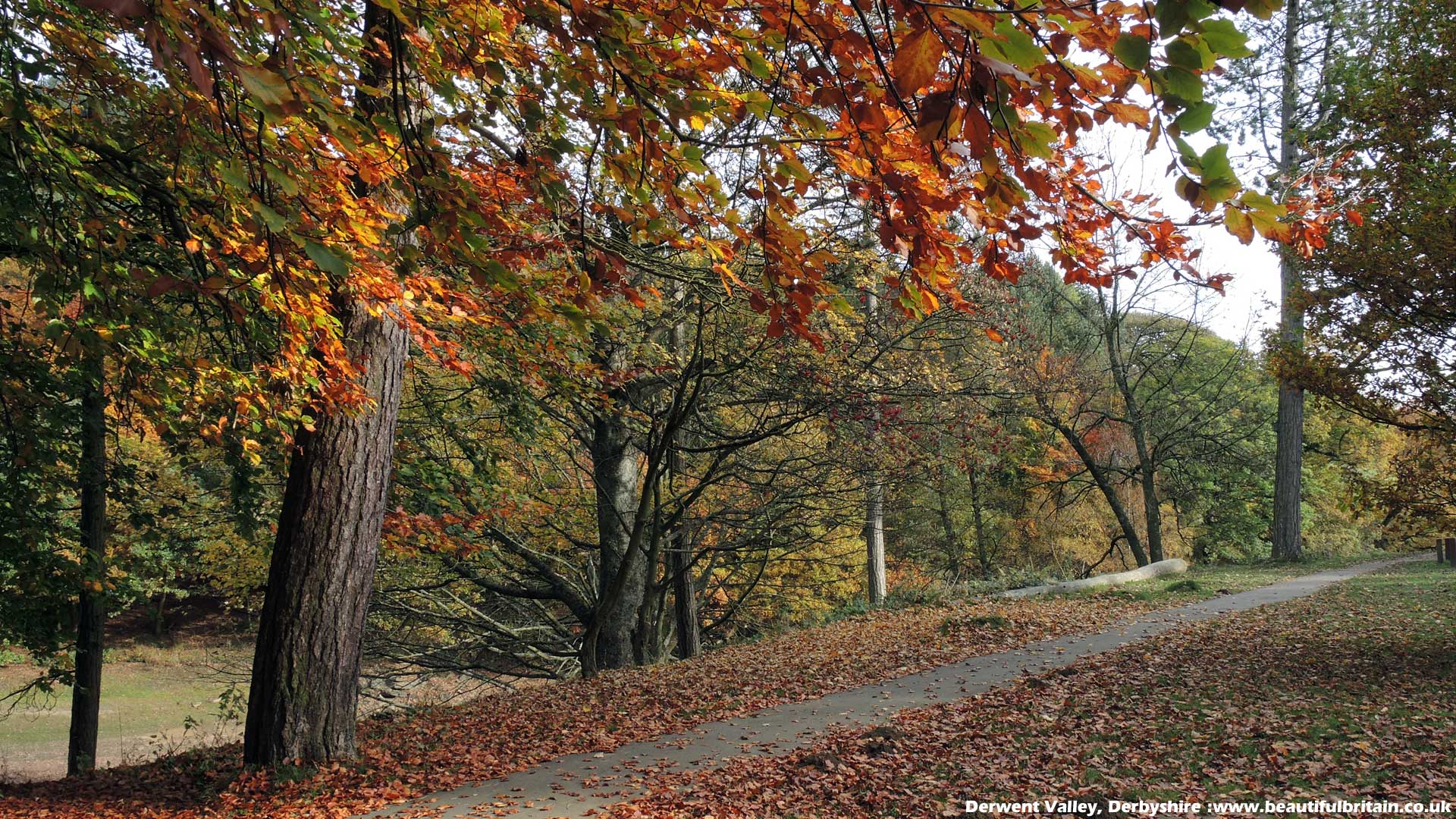 1920x1080 The British Countryside Scenery Wallpaper of Beautiful Britain