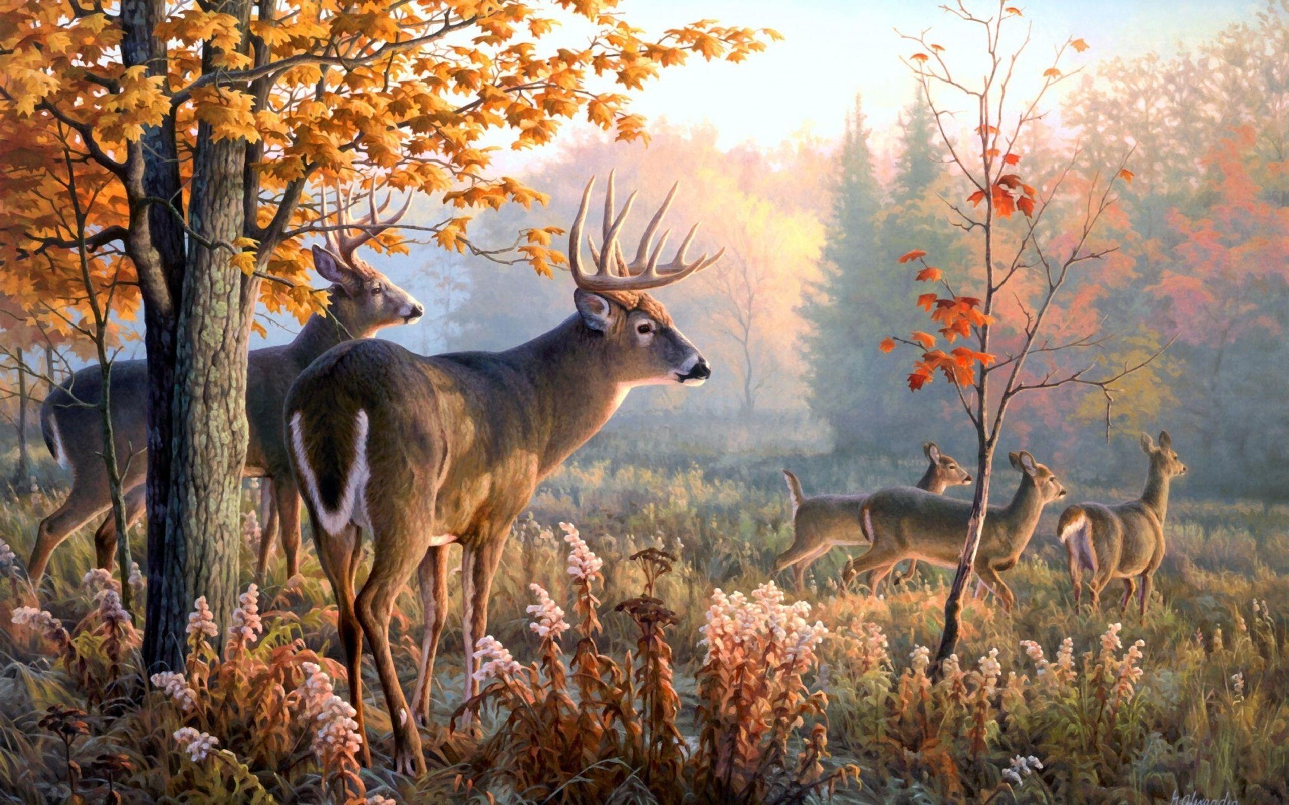 Deer Landscape Wallpapers - Top Free Deer Landscape Backgrounds -  WallpaperAccess