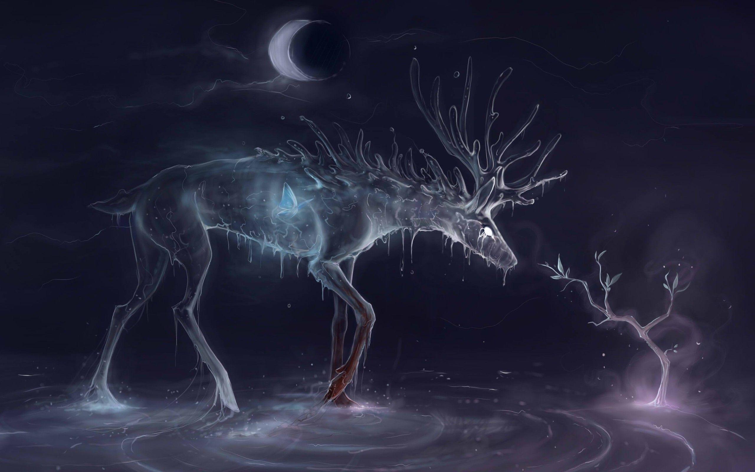 2560x1600 Water Deer Wide Wallpaper HD