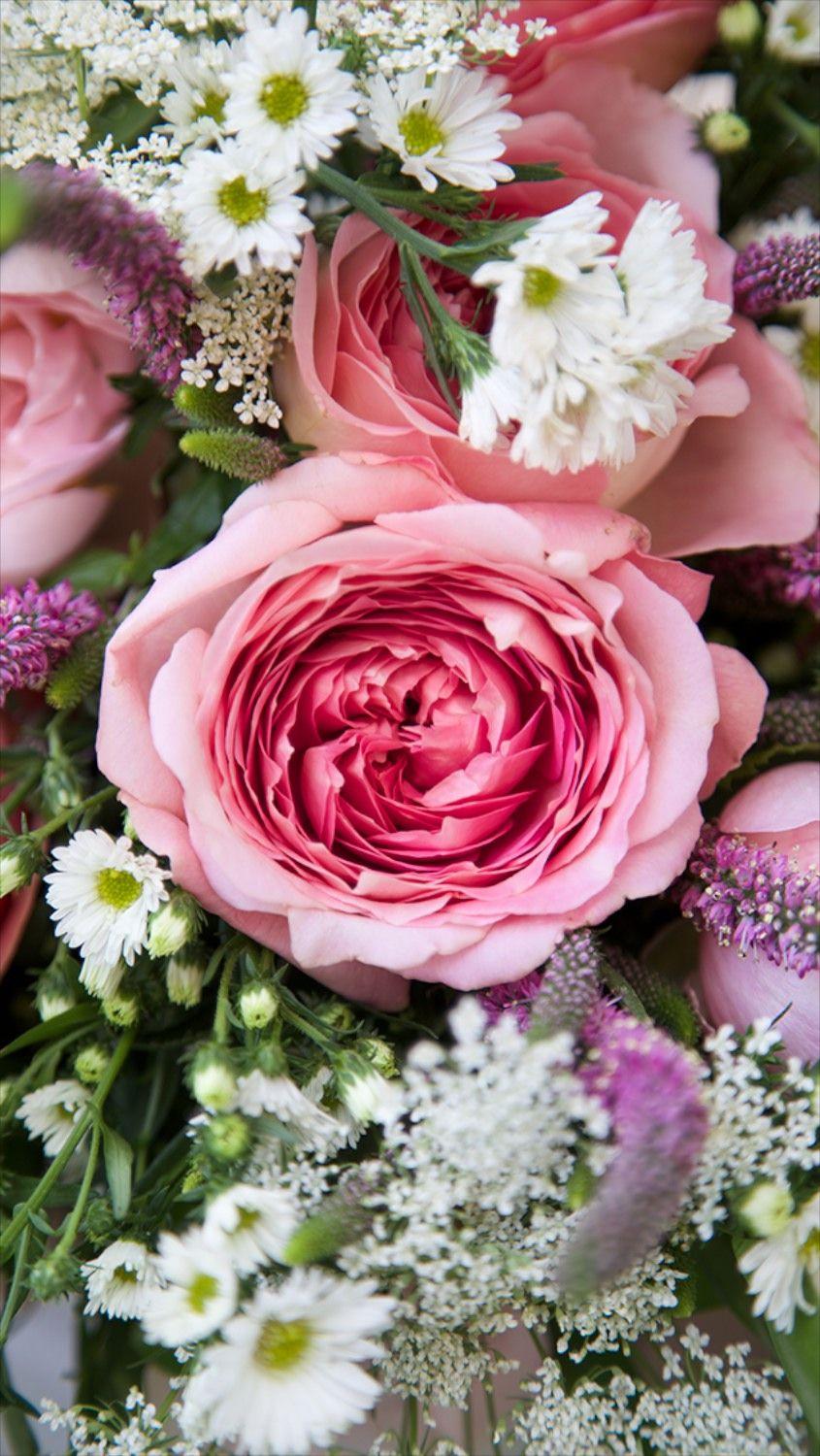 845x1500 Free Floral Phone Wallpaper • Summer Collection • Capture