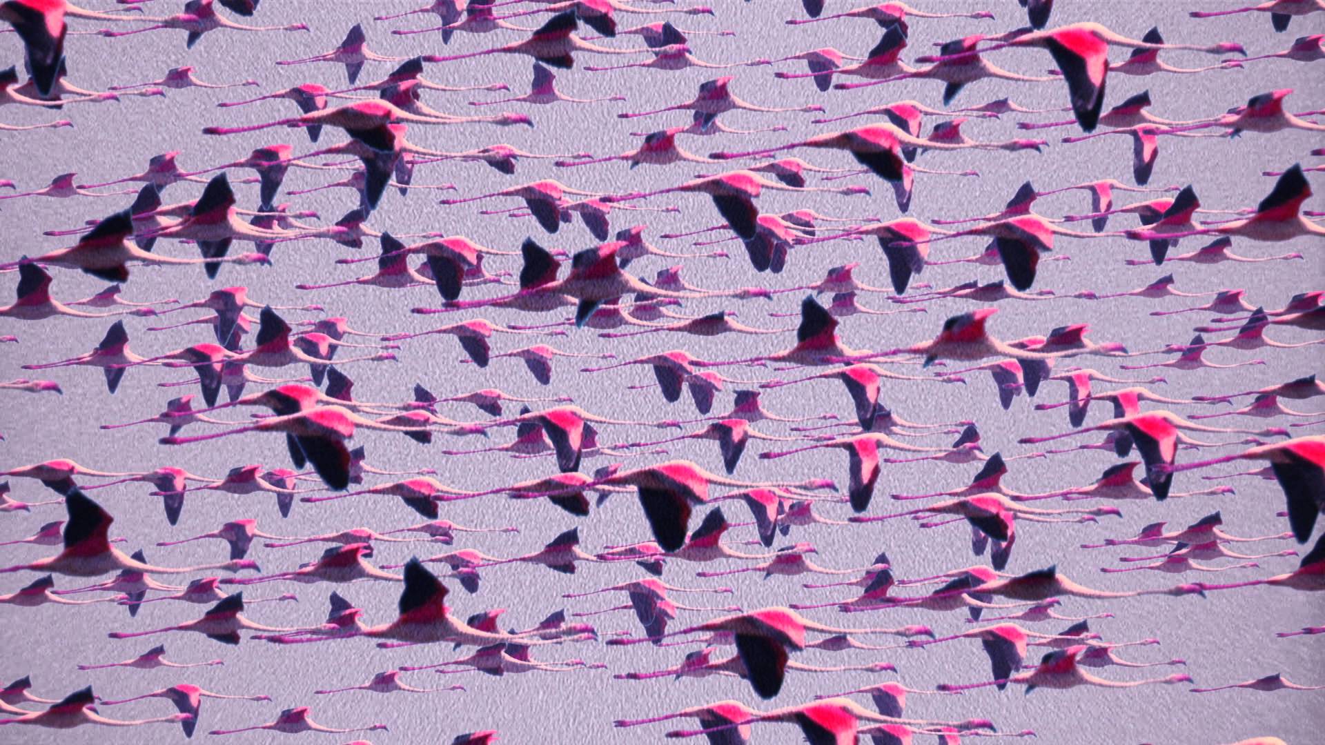 1920x1080 Deftones Gore Wallpaper HD