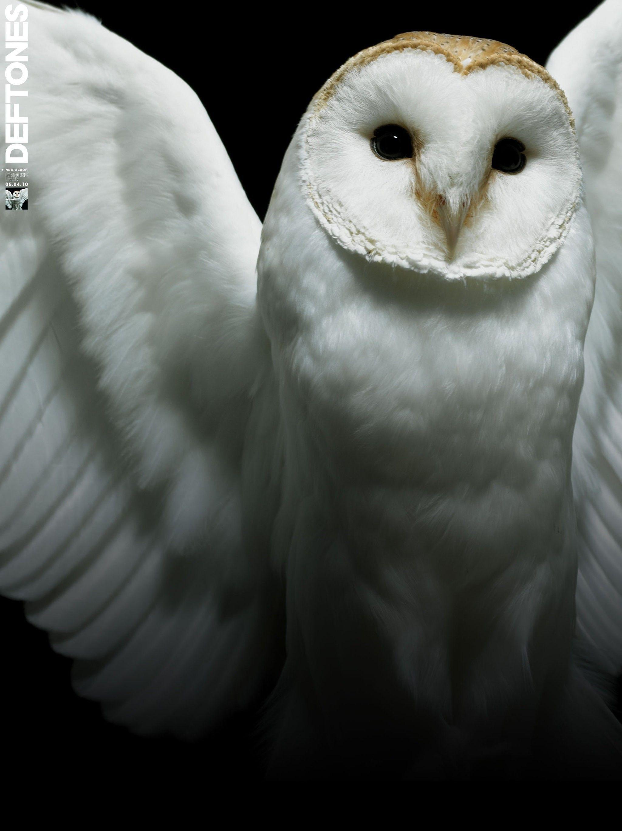 2048x2734 Deftones Wallpaper