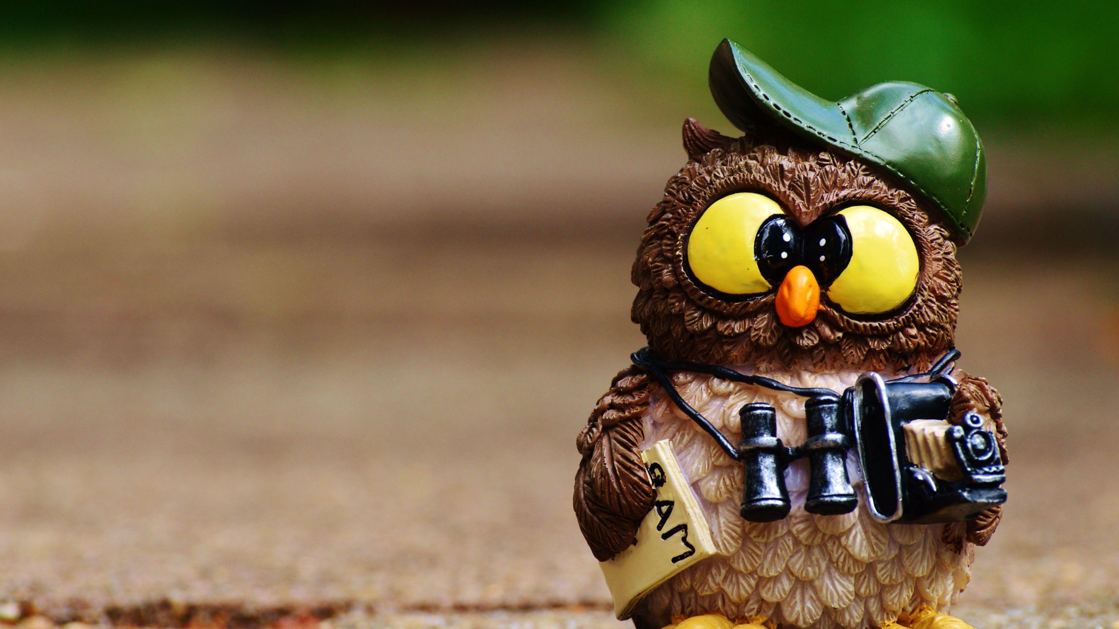 3840x2160 nature, Animals, Birds, Owl, Toy, Toys, Depth Of Field, Hat, Map, Binoculars, Camera Wallpaper HD / Desktop and Mobile Background