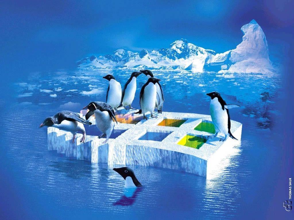 Linux Windows Wallpapers Top Free Linux Windows Backgrounds
