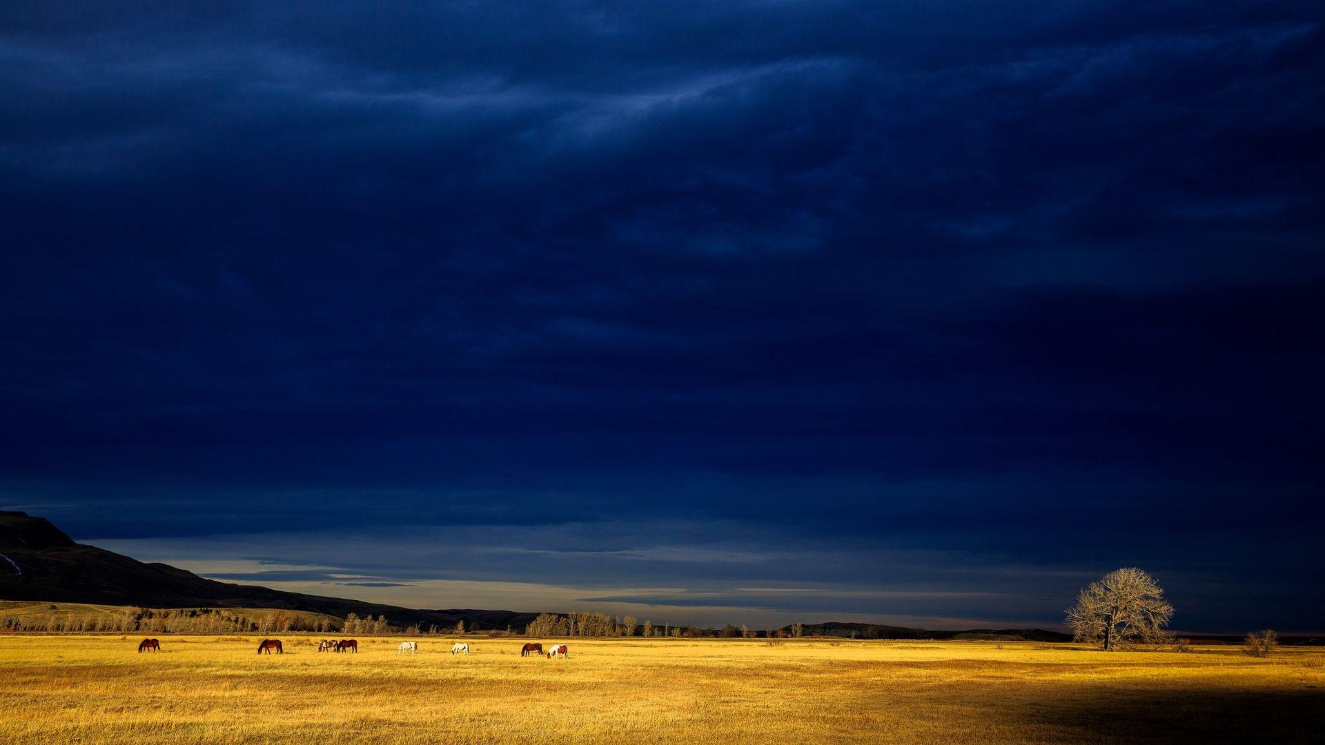 1920x1080 Dark Blue Storm Clouds HD Wallpaper