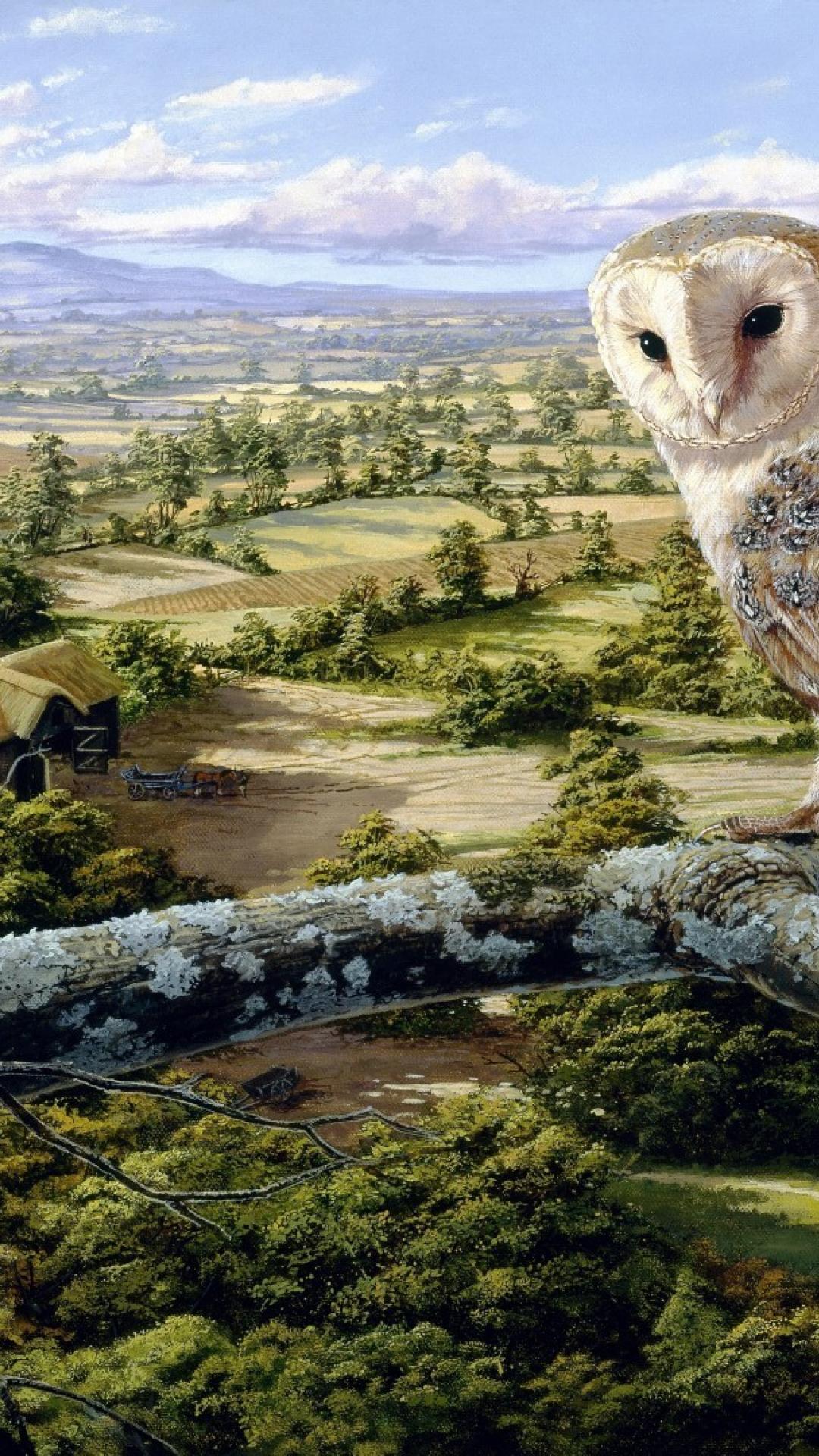 1080x1920 ScreenHeaven: English barn owl painting HD farm art bird countryside
