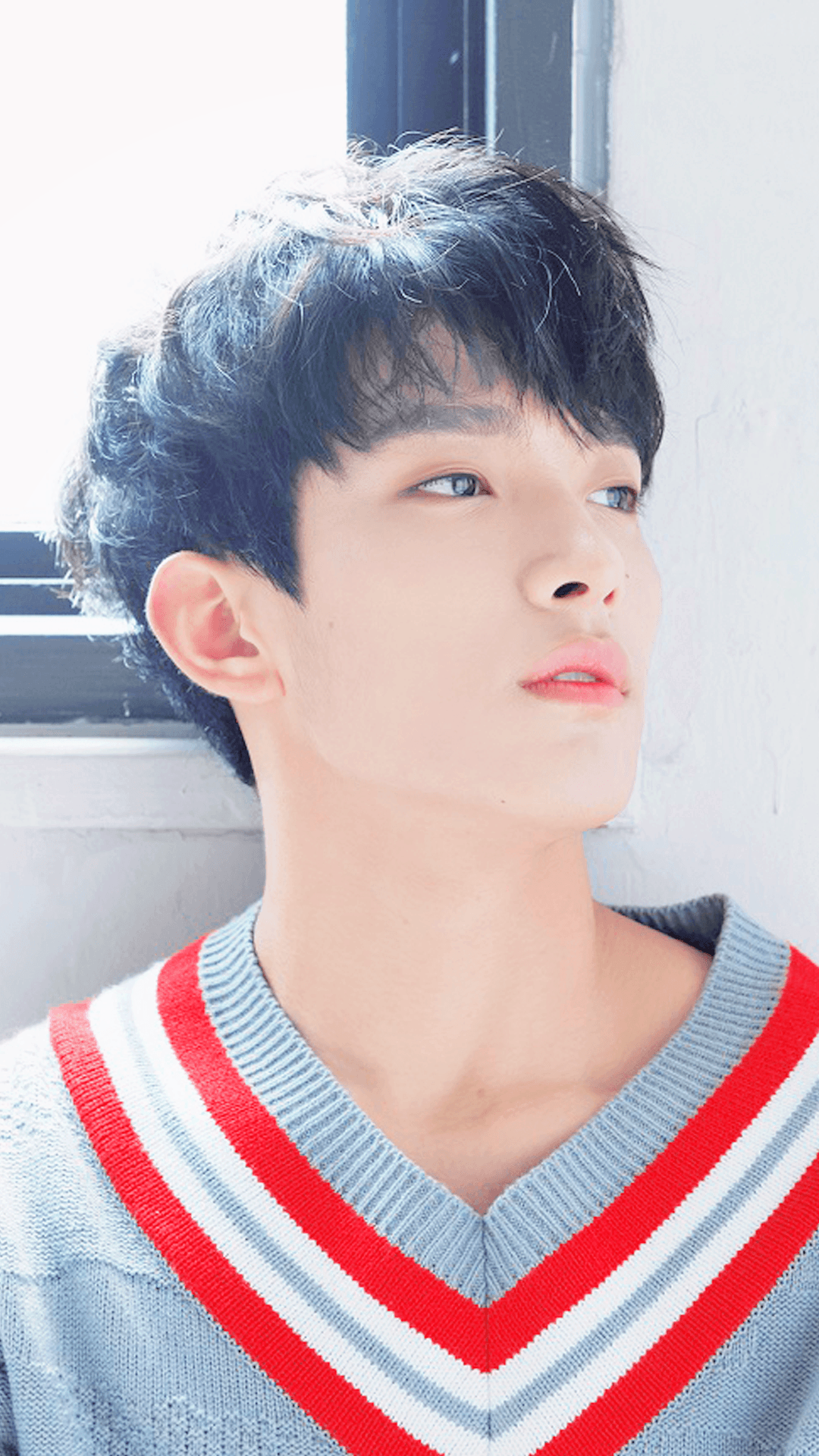 1080x1920 Dk Seventeen Wallpaper