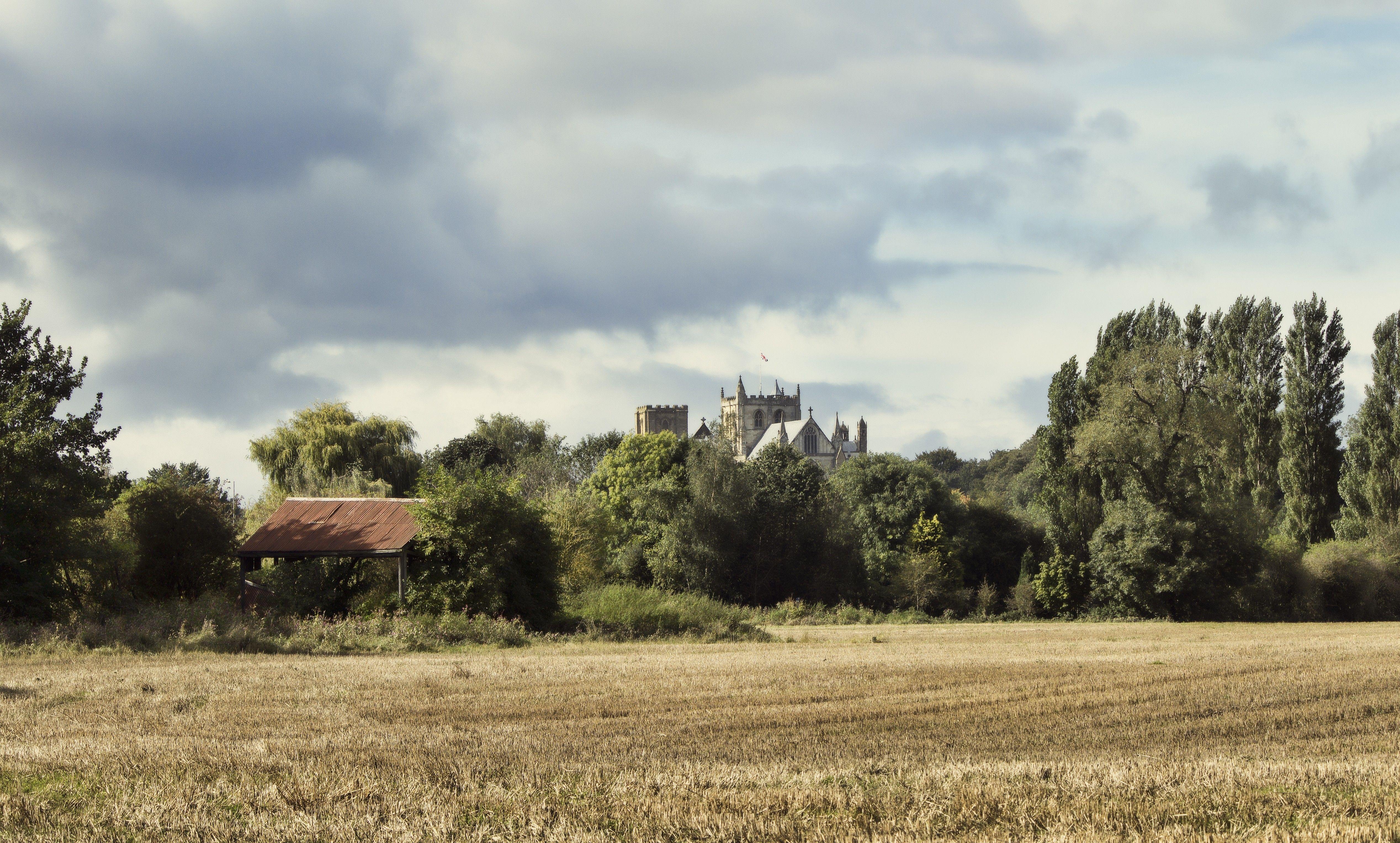 5072x3056 Ripon Cathedral Countryside Field Sceanery England Flowers Fields