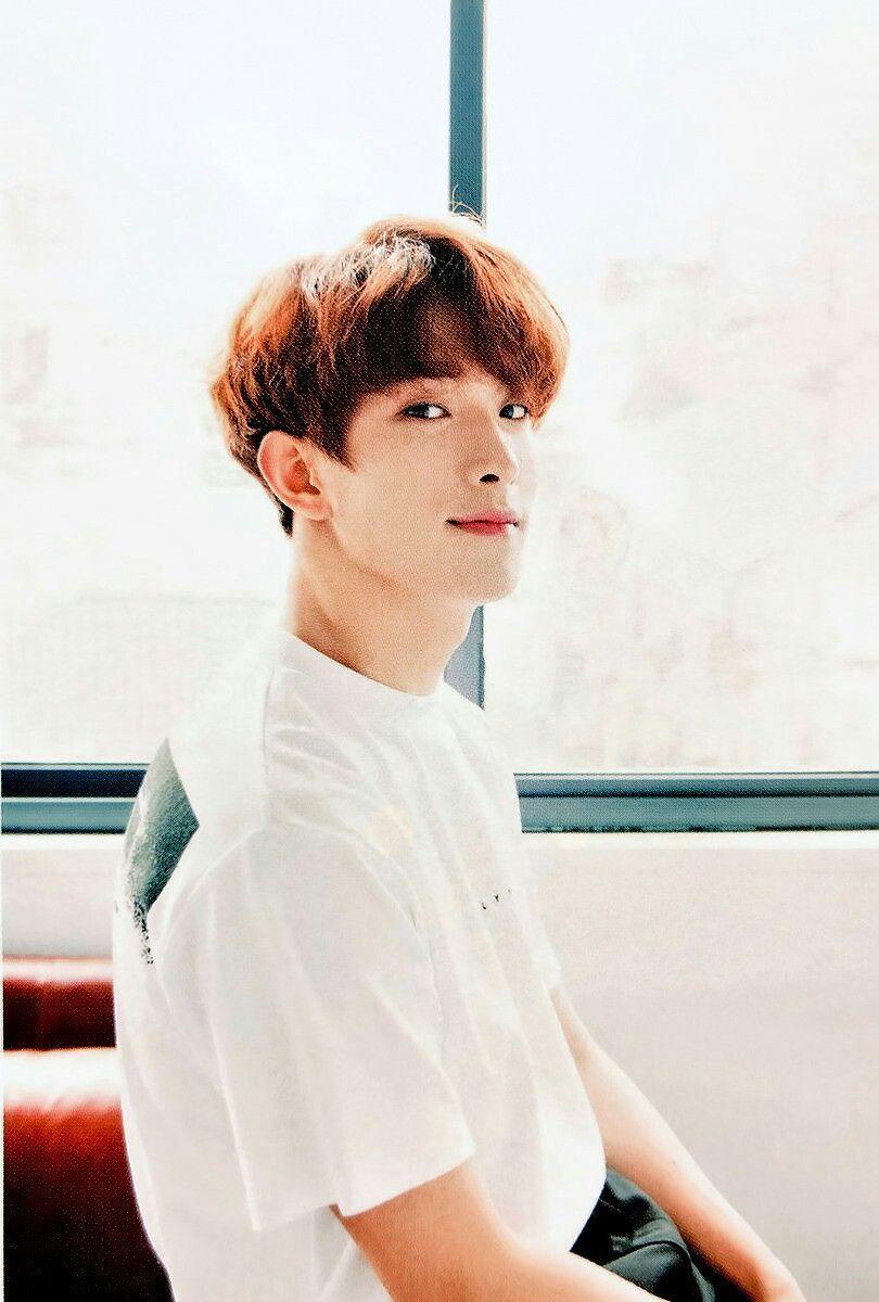 810x1200 Dk Seventeen Cute, Dk Seventeen di 2020. Seventeen, Manusia, Selebritas