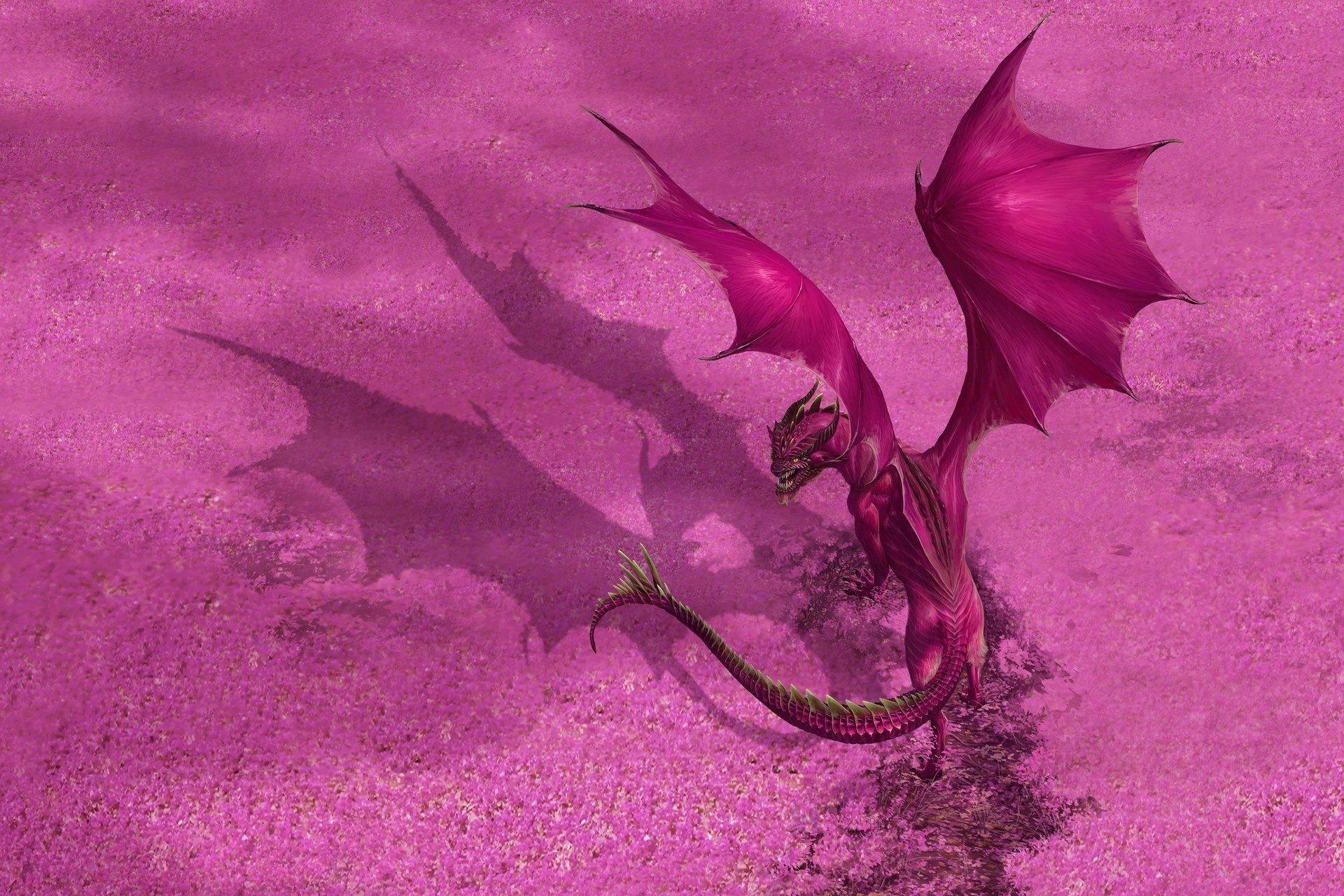 1920x1280 Pink Dragon Wallpaper Shield Sleeves Magenta
