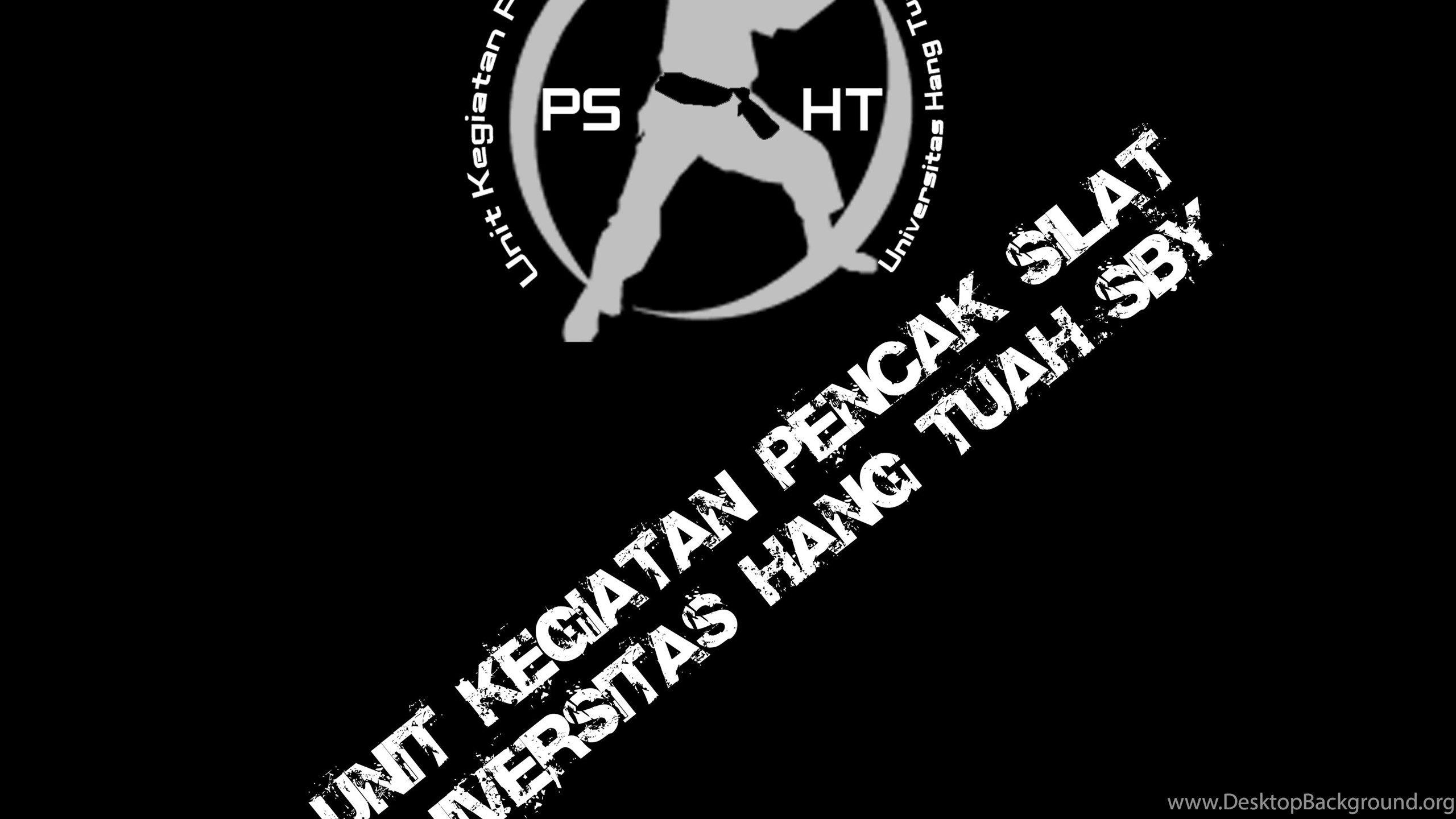 2560x1440 Kaos Pencak Silat Belakang By TheXIVdesigns Desktop Background