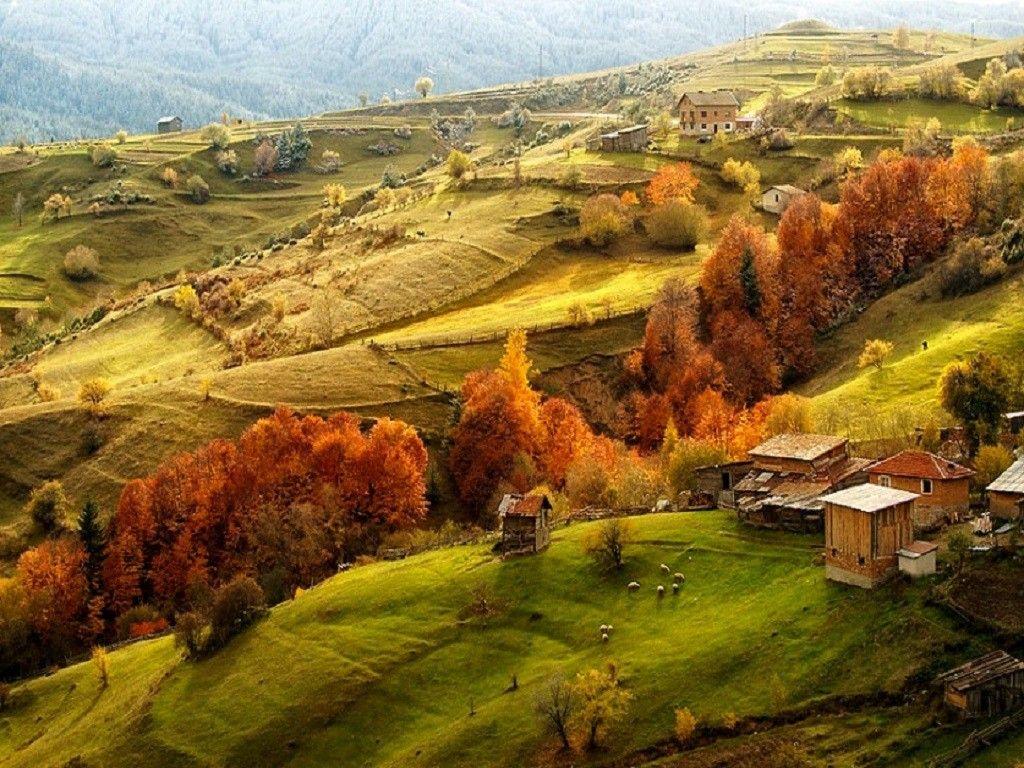 1024x768 Tuscan Tag wallpaper: Farm Tuscan Fall Grass Fields Italy Country
