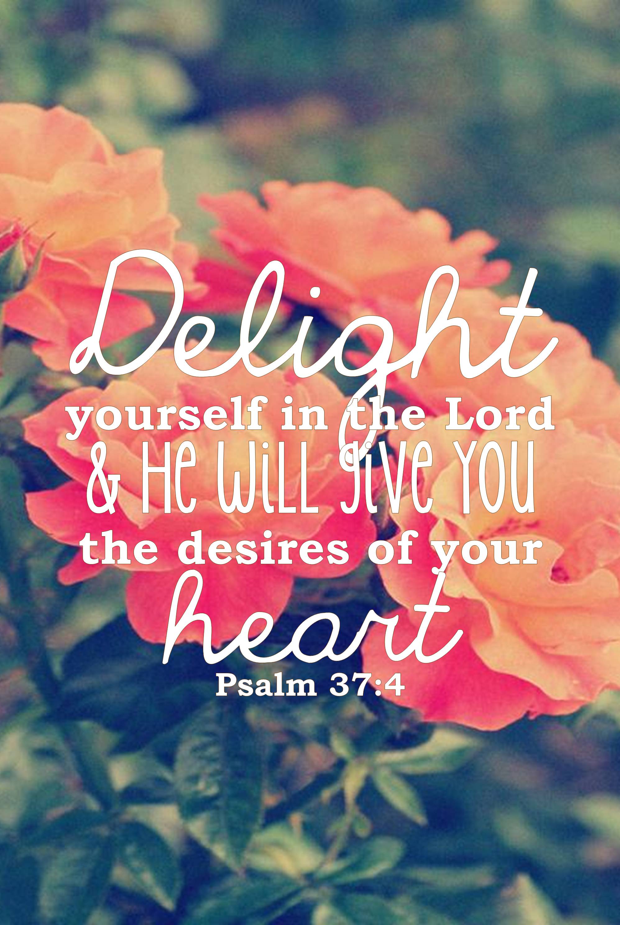 1995x2976 Bible Quote Phone Wallpaper