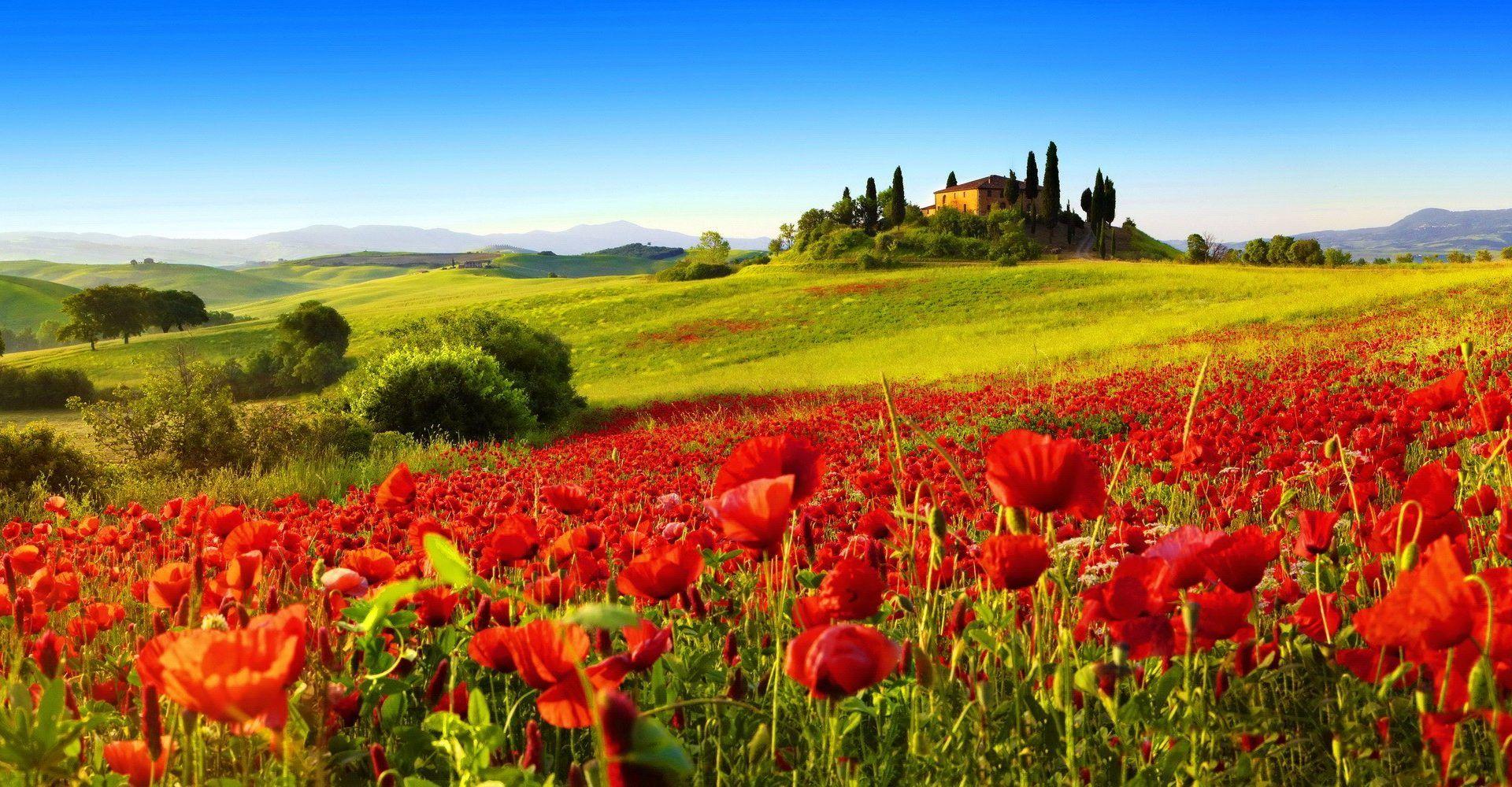 Tuscan Wallpapers Top Free Tuscan Backgrounds WallpaperAccess