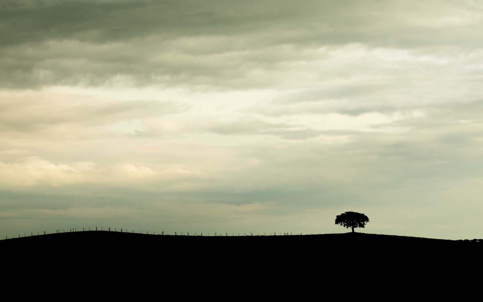 1920x1200 1920x1200px Far Away (41.14 KB).05.2015