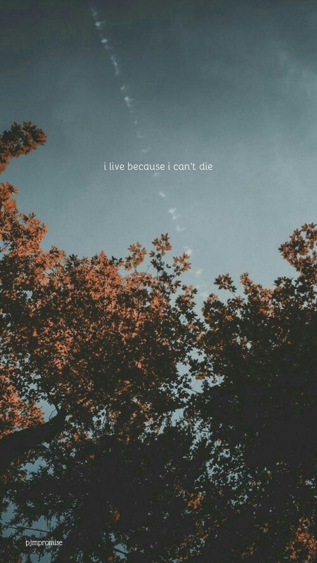 1080x1920 BTS LYRICS FAR AWAY LOCKSCREEN. Lyrics aesthetic, Bts lyric, Wallpaper quotes