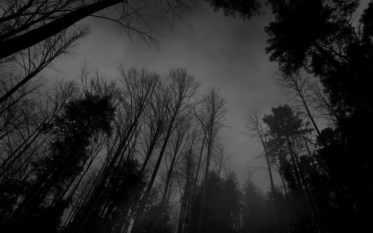 1280x800 tumblr background black and white hipster 7. Background Check All