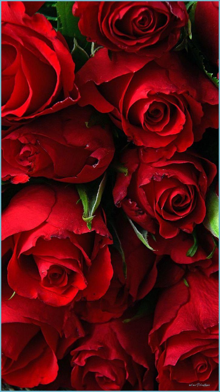 Live Wallpaper 3d Rose Flower Image Num 62