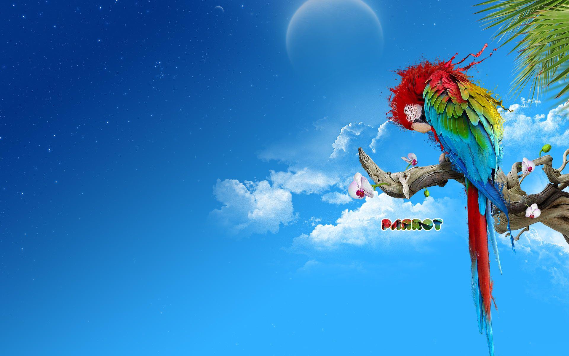 1920x1200 Desktop macaw parrot wallpaper