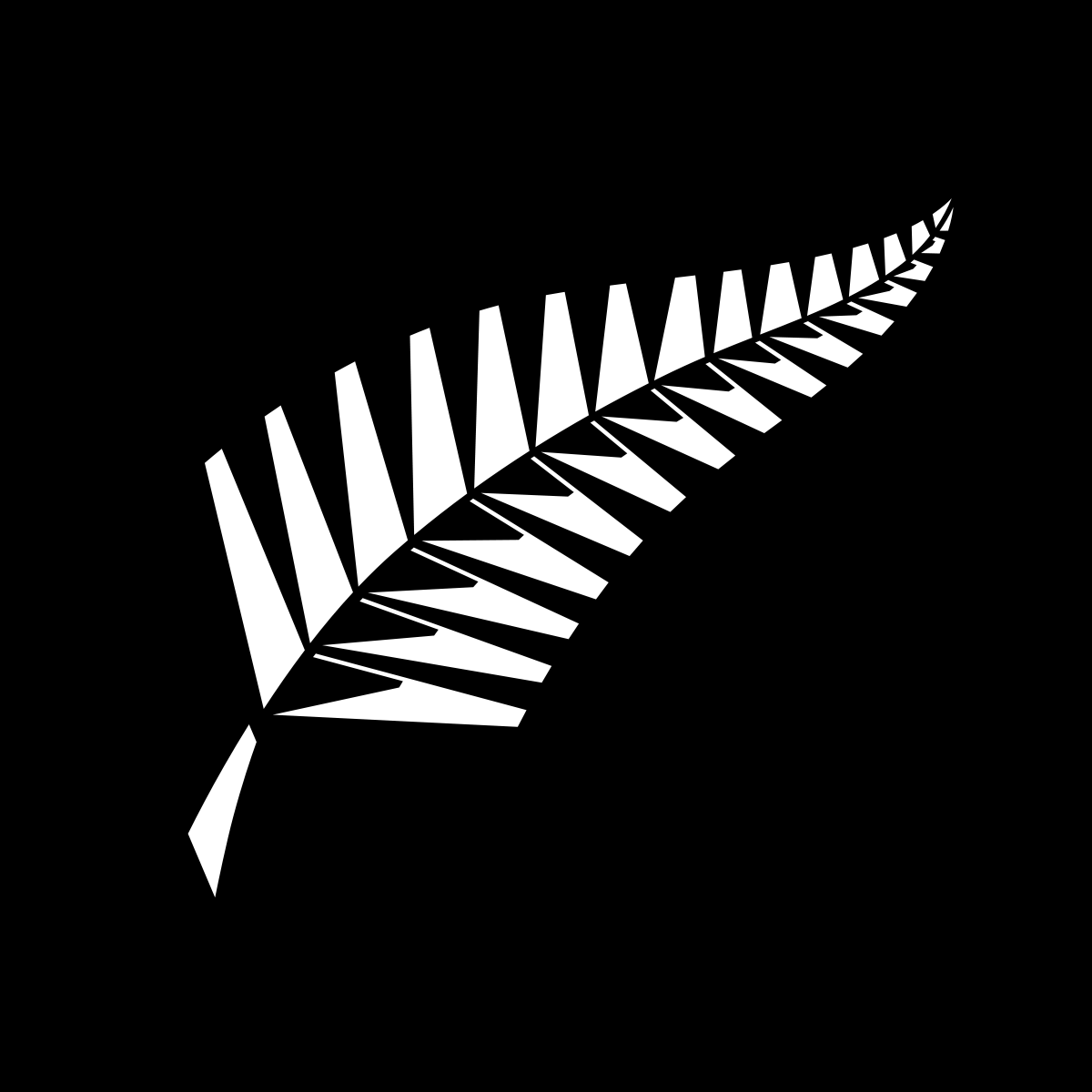 1200x1200 New Zealand Rugby Wallpaper