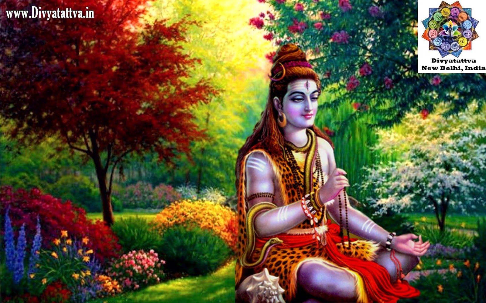 1600x1000 Lord Shiva, Shiva Picture, God Shiva .