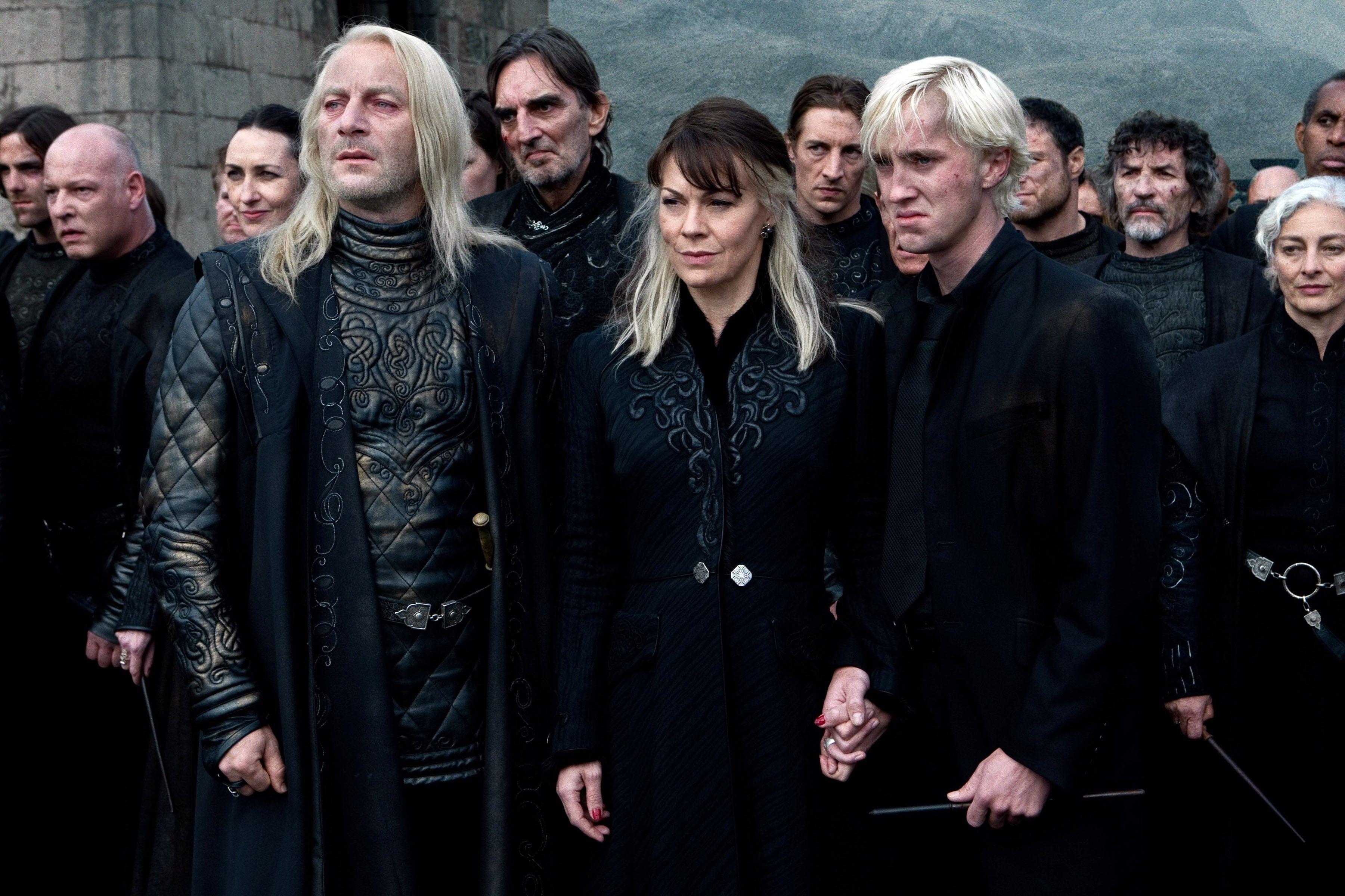 3601x2400 Harry Potter Character Lucius Malfoy Inspires Name of New Wasp Species