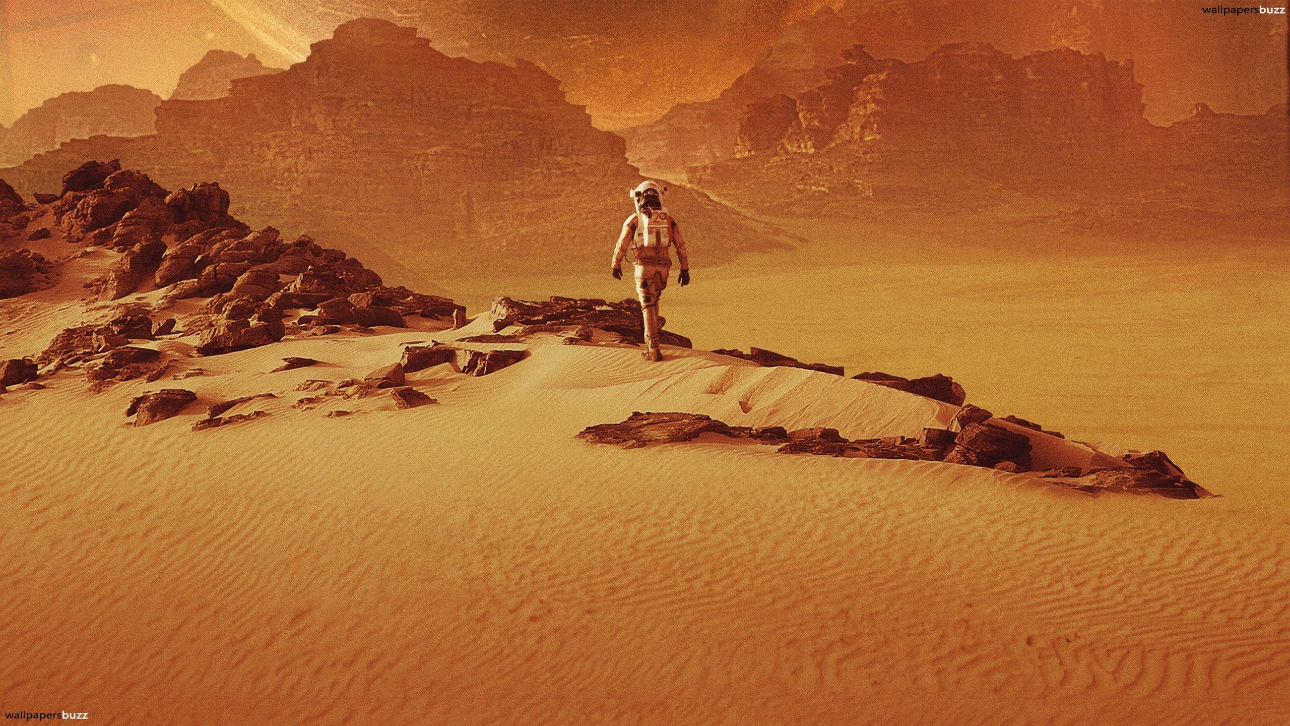 2560x1440 Mars Surface Wallpaper (2560x1440 px, 926.31 Kb)