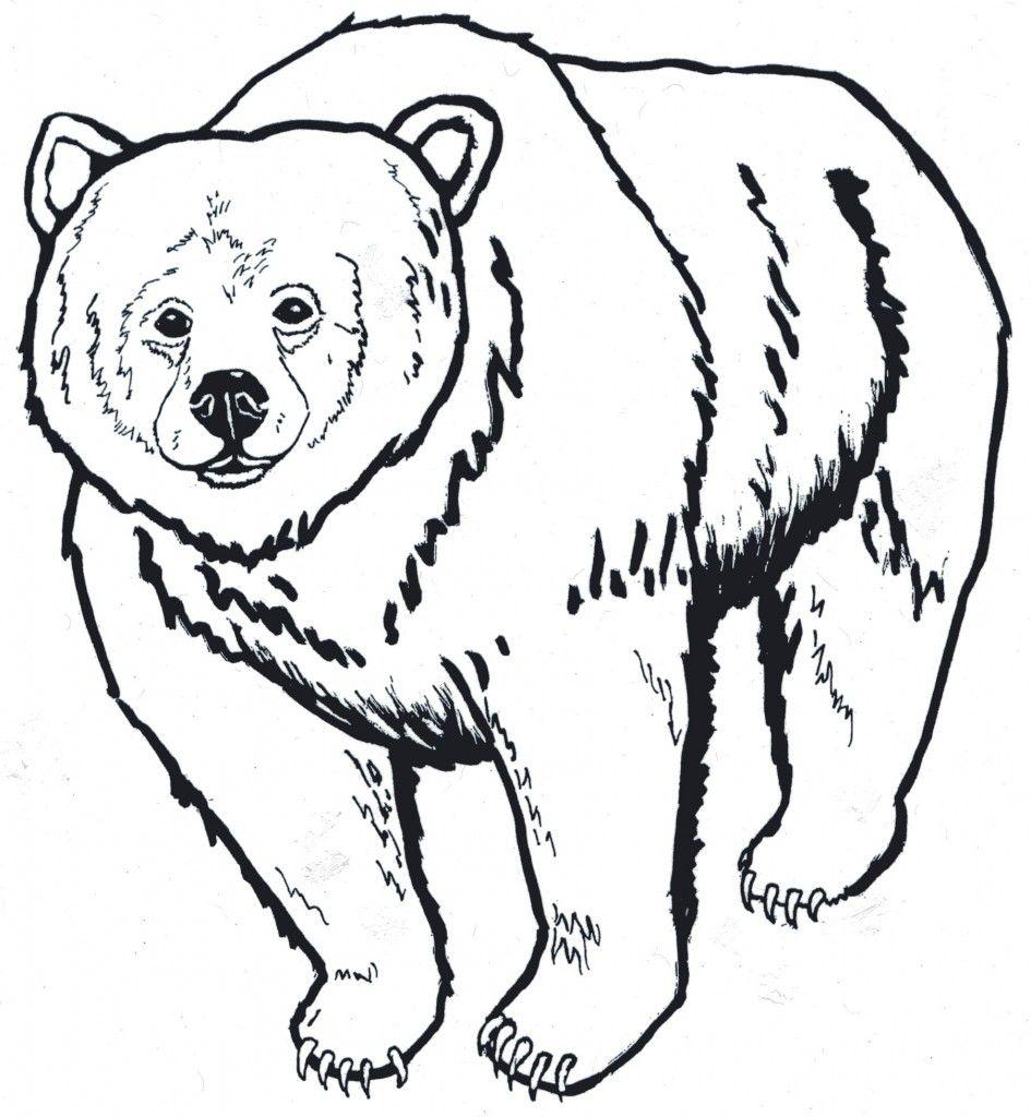 945x1024 Native American Bear Drawing.com. Free for personal
