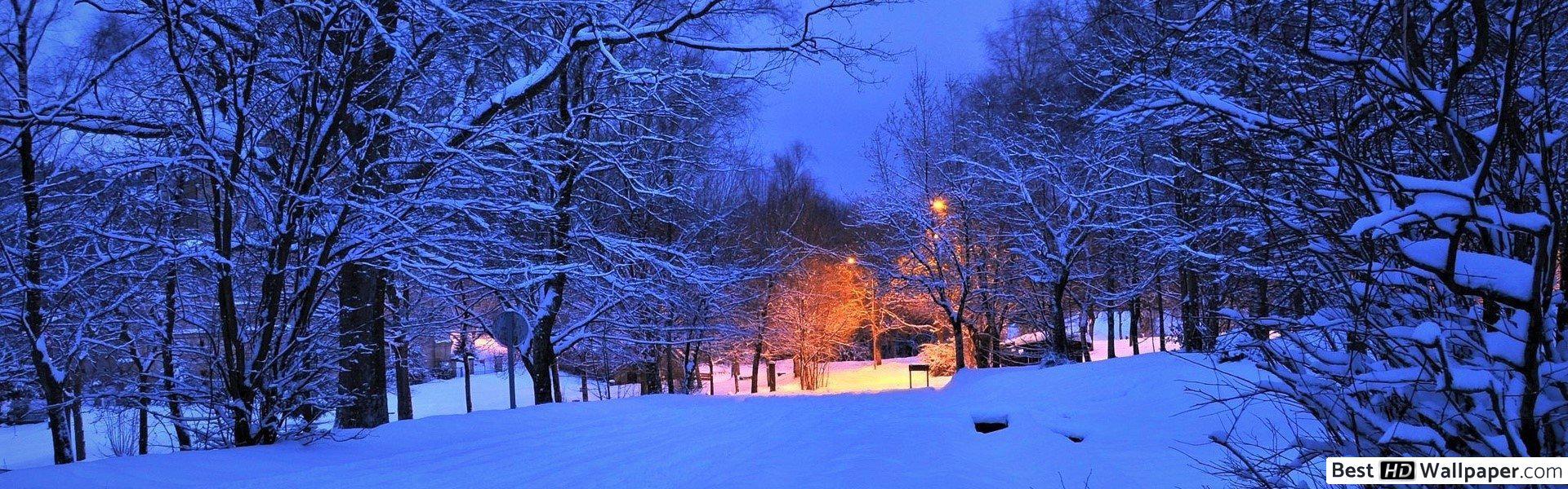 1920x600 Winter trees in the park at dusk HD wallpaper download